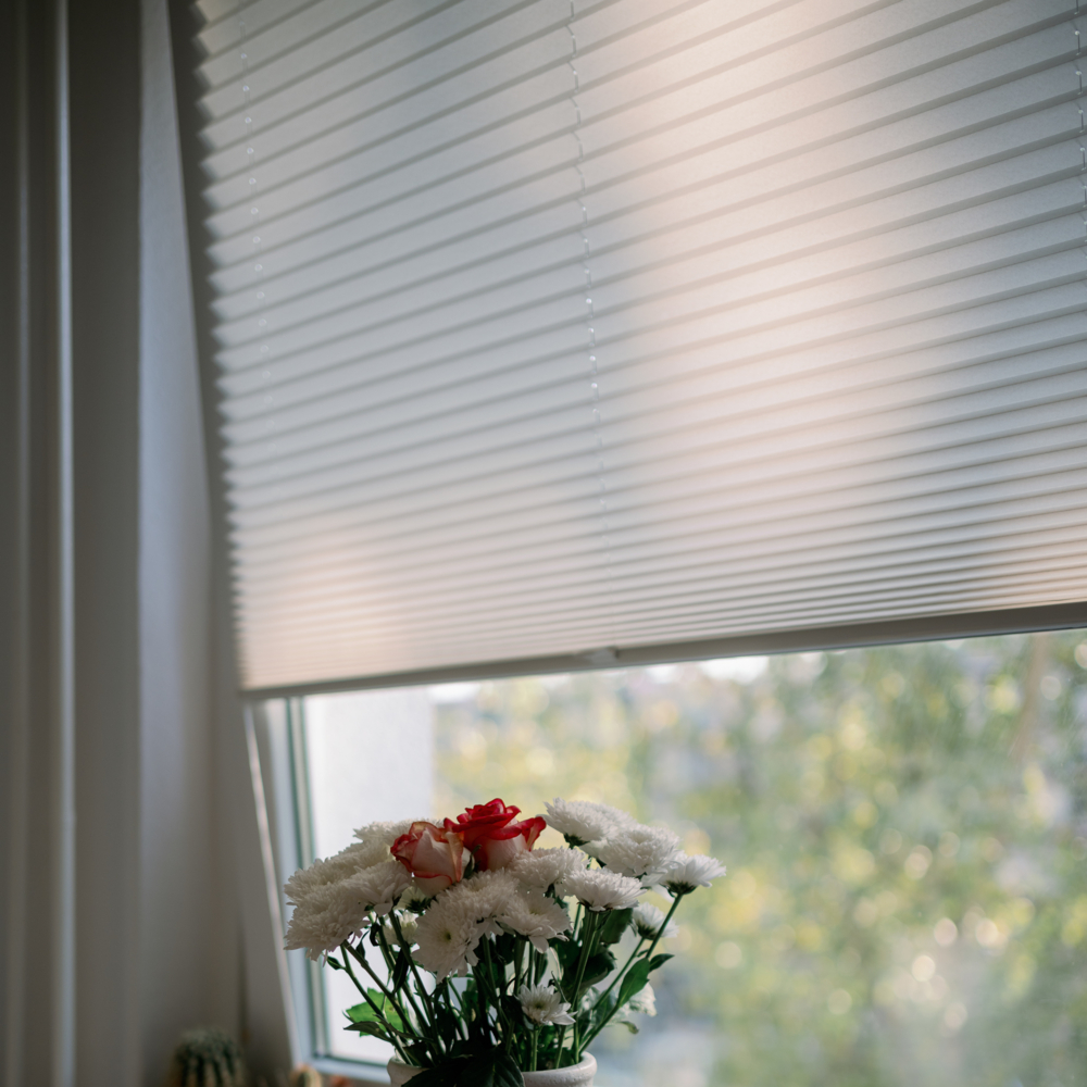 Tipos esenciales de estores para ventanas oscilobatientes