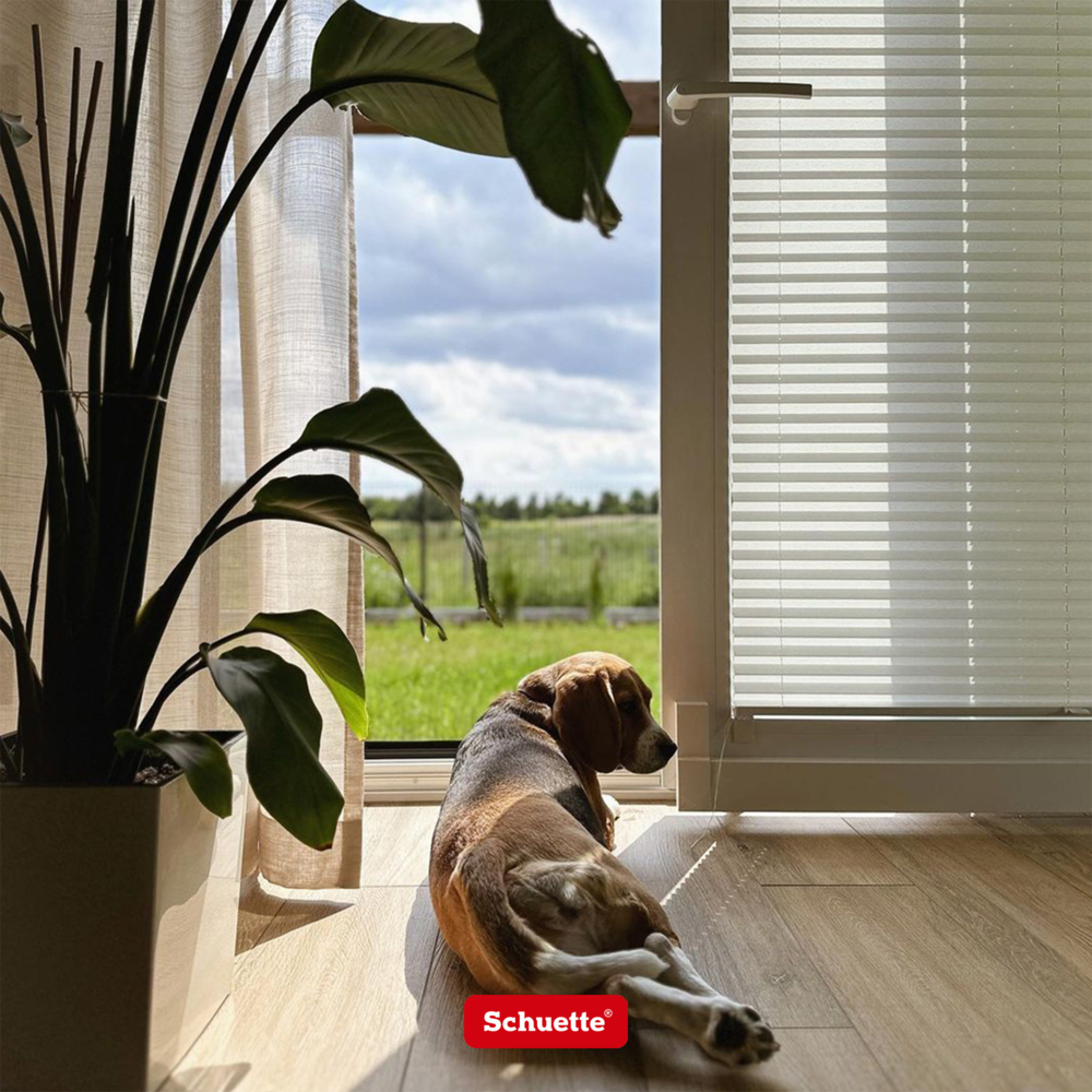 Mit Plissee Balkontür und Terrassentür Blick- & Sonnensicher machen