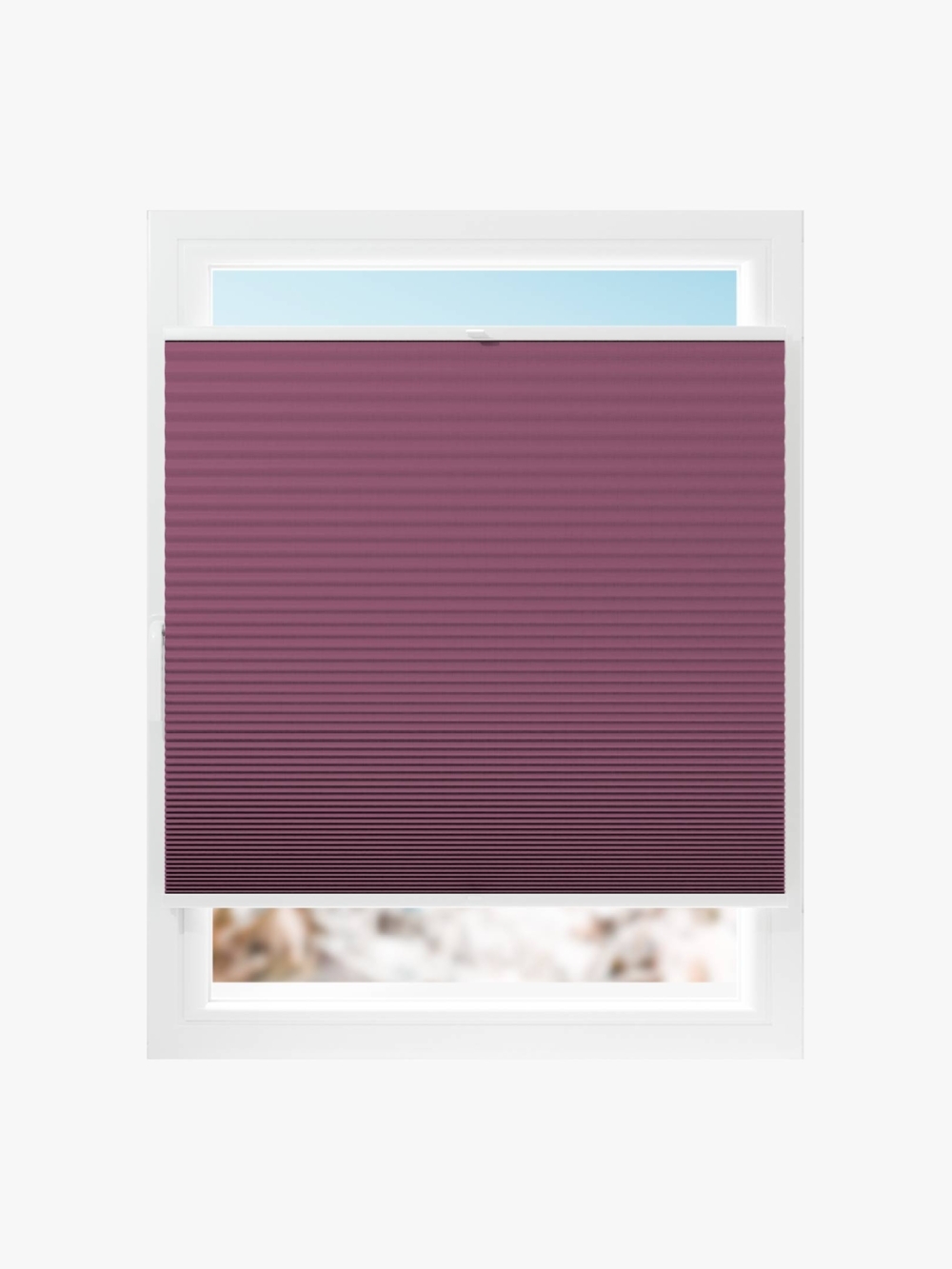 color berenjena