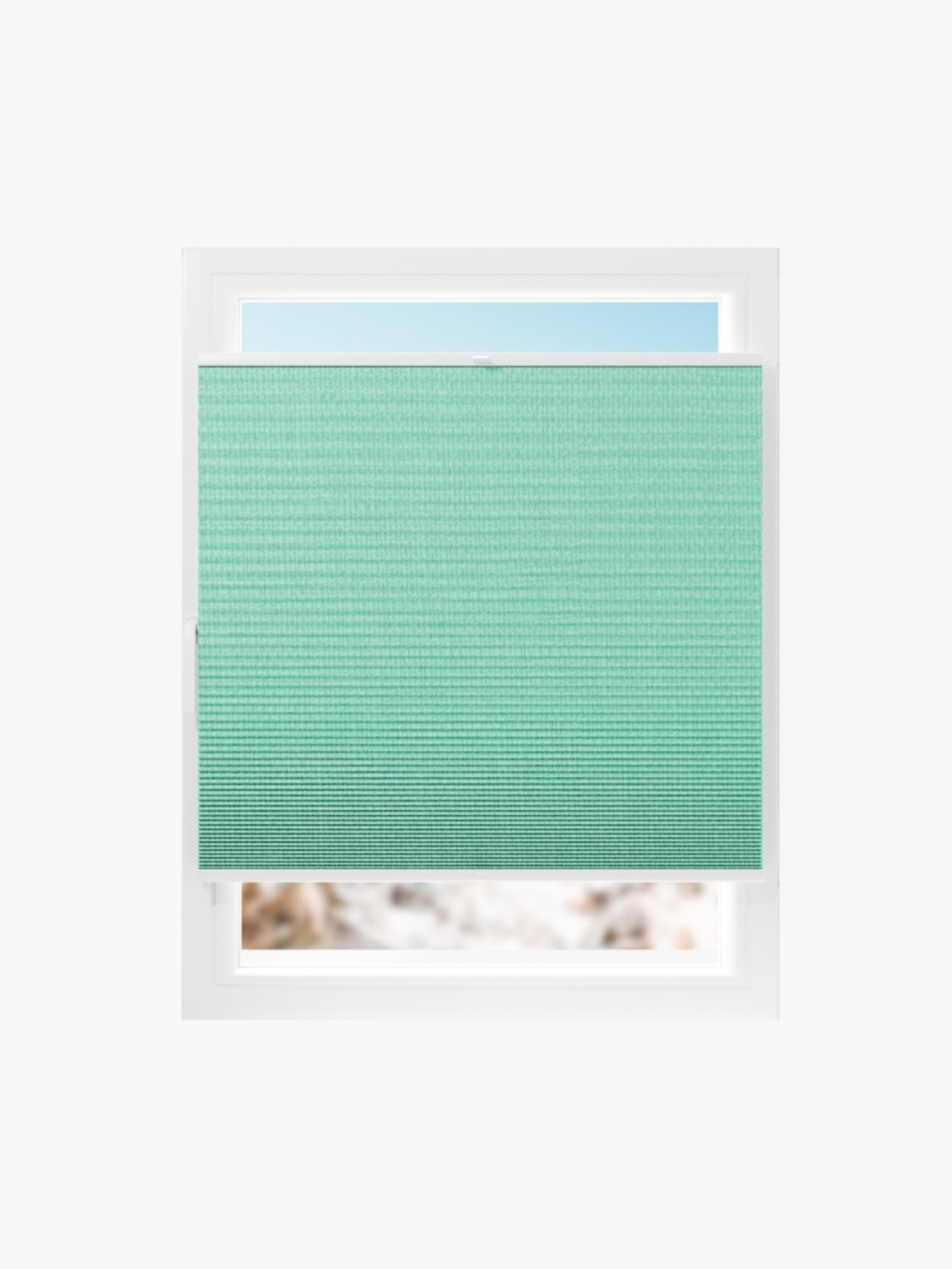 estores ventanas