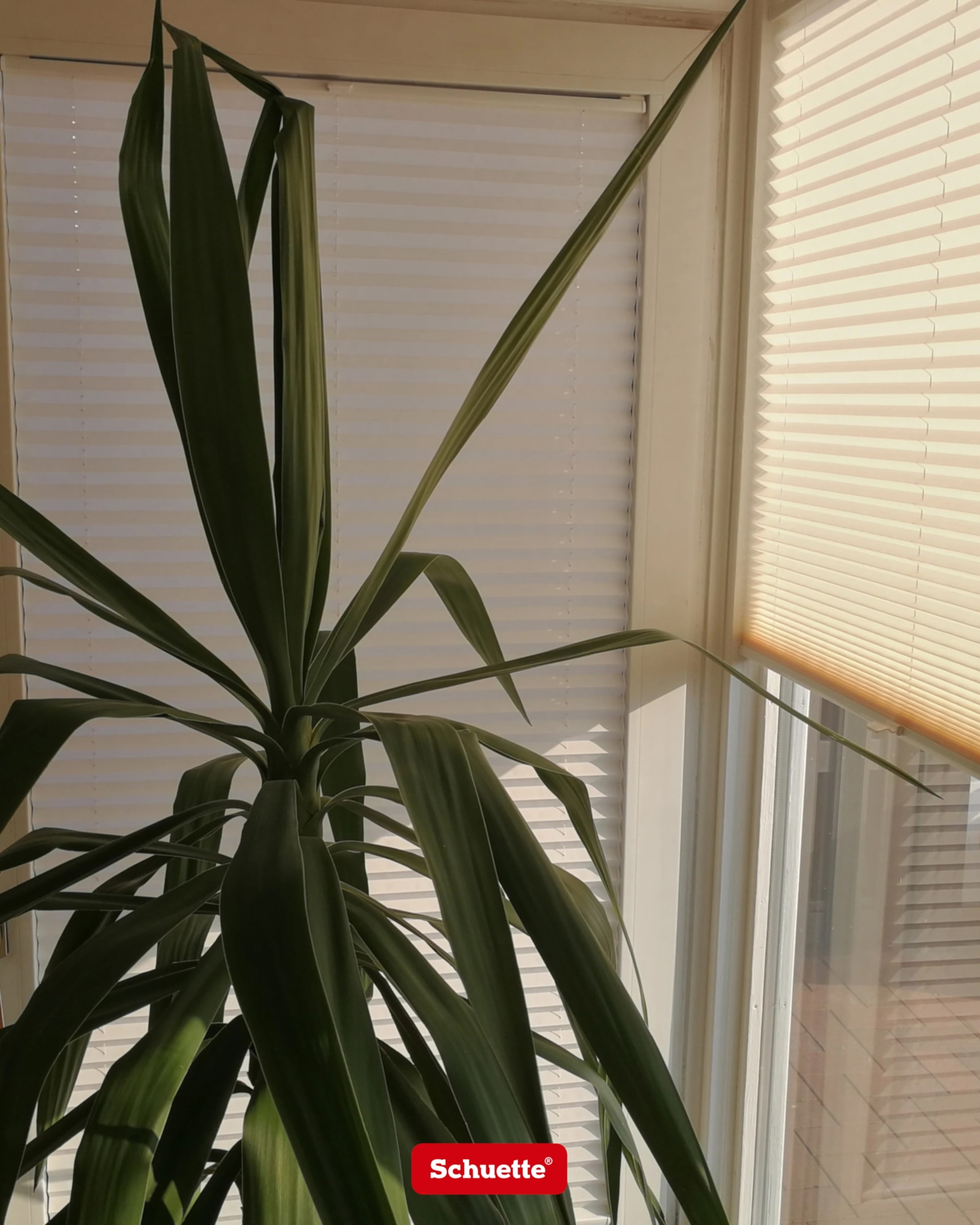 cortinas para oficinas modernas