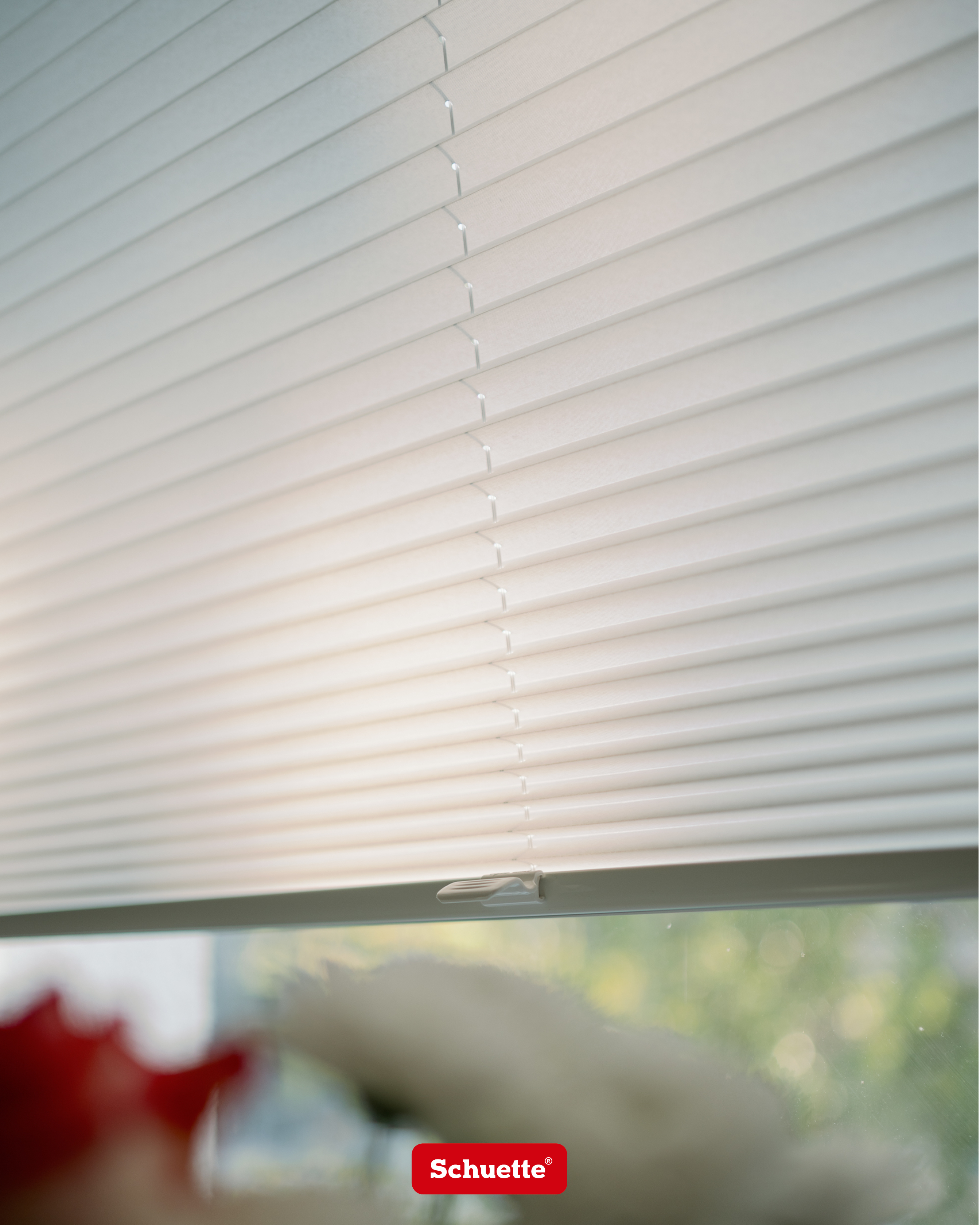 ventanas para container