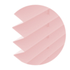 Powdered Rose (Rosa)