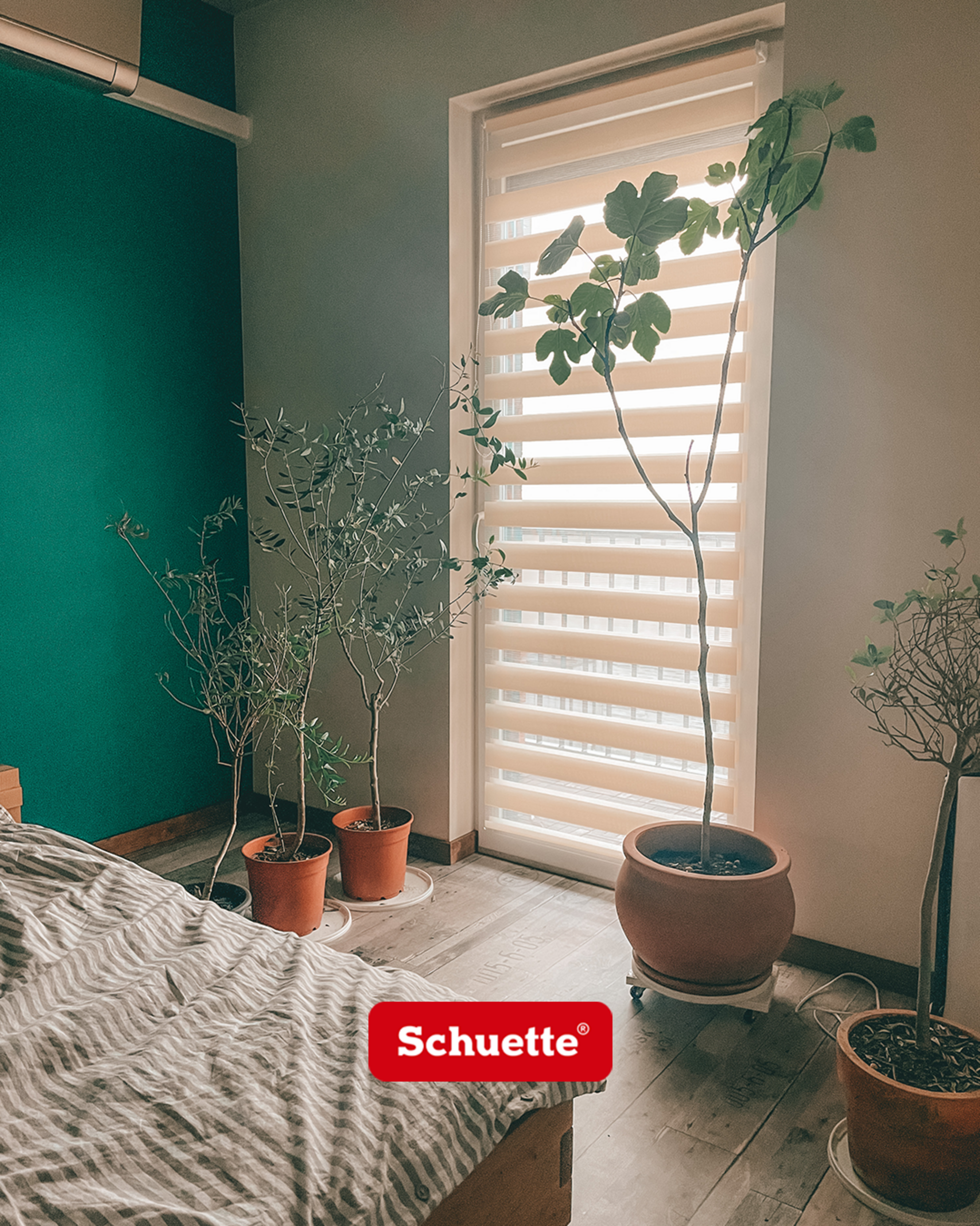 precios persianas enrollables