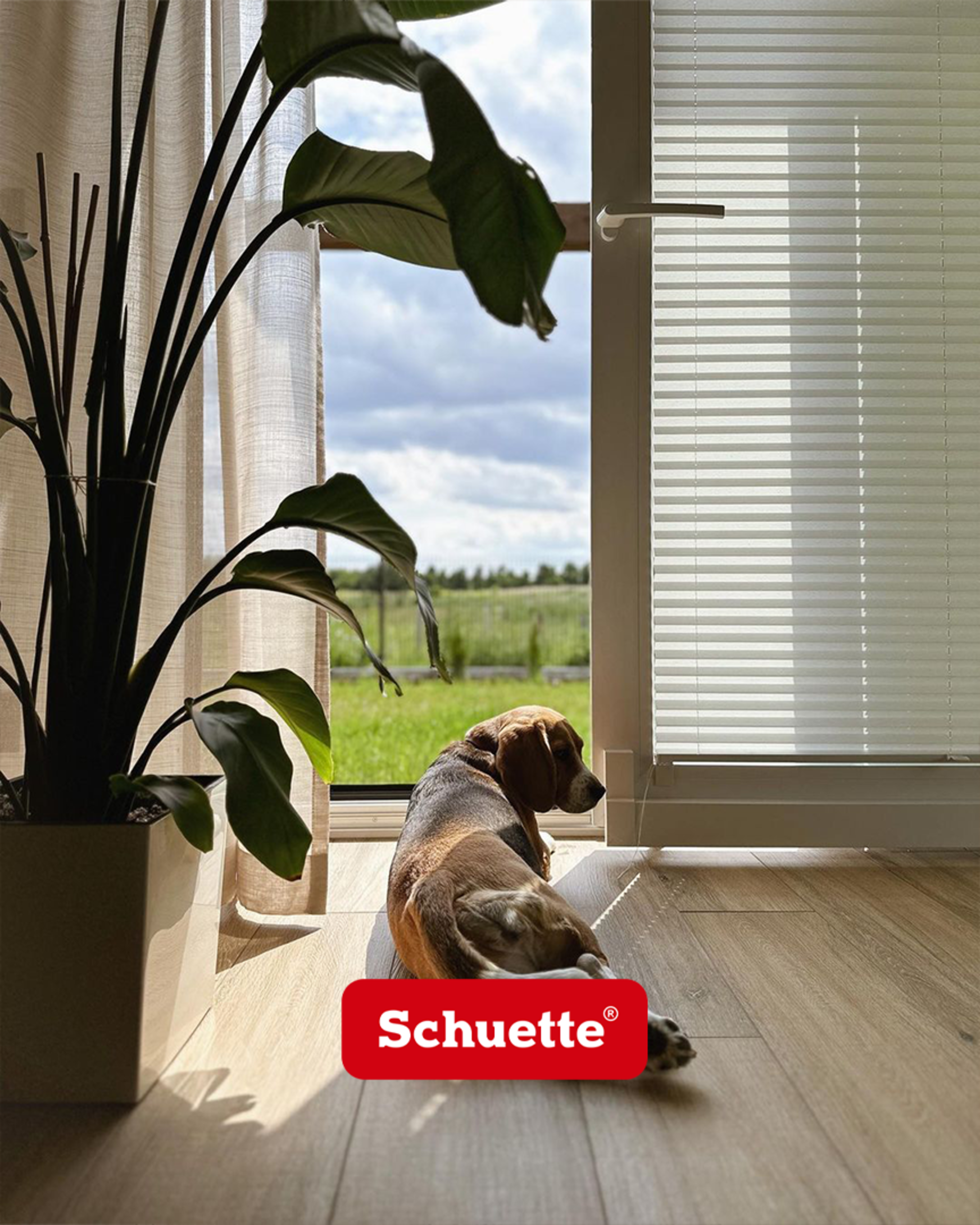 store plisse schuette