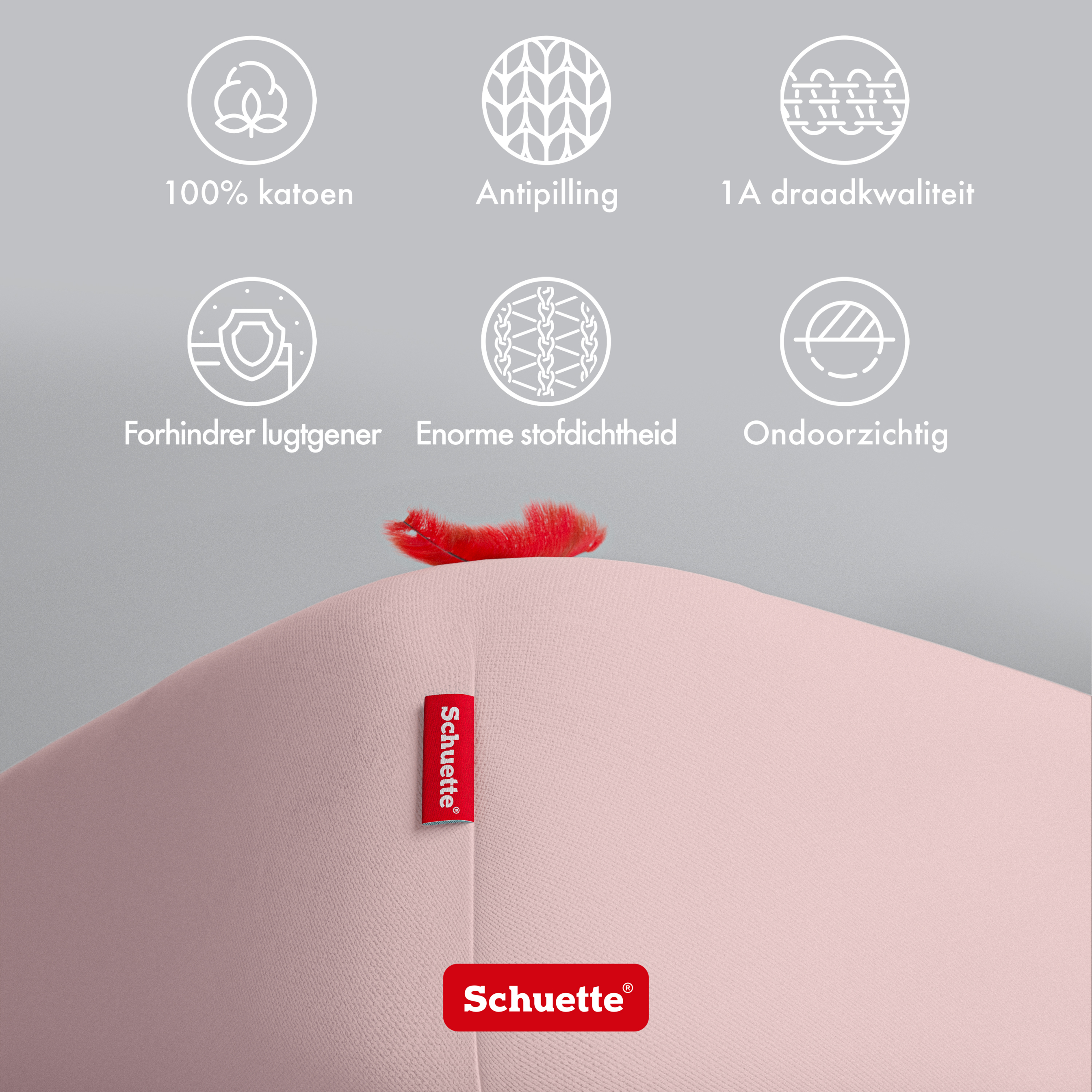 Schuette® Spannbettlaken • 120 x 200 • Wow! Kollektion: Cherry Blossom (Pastellrosa) • 100% Superfluff Baumwolle, Blickdicht, Faltenfrei • mit Rundumgummi • Matratzenhöhe bis 40 cm
