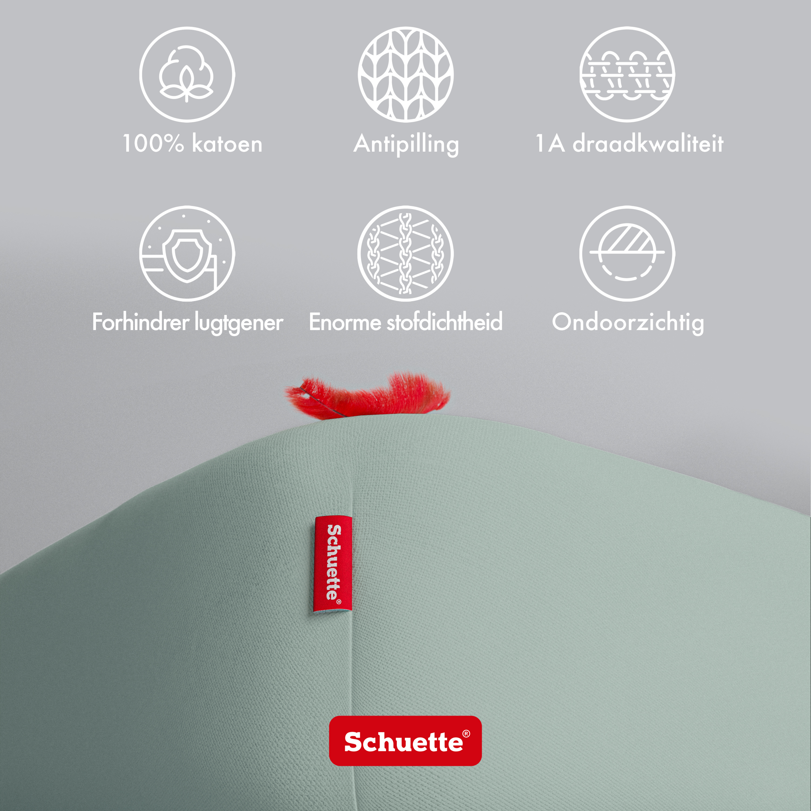 Schuette® Spannbettlaken • 200 x 200 • Wow! Kollektion: Élysées Macarons (Grüngrau) • 100% Superfluff Baumwolle, Blickdicht, Faltenfrei • mit Rundumgummi • Matratzenhöhe bis 35 cm