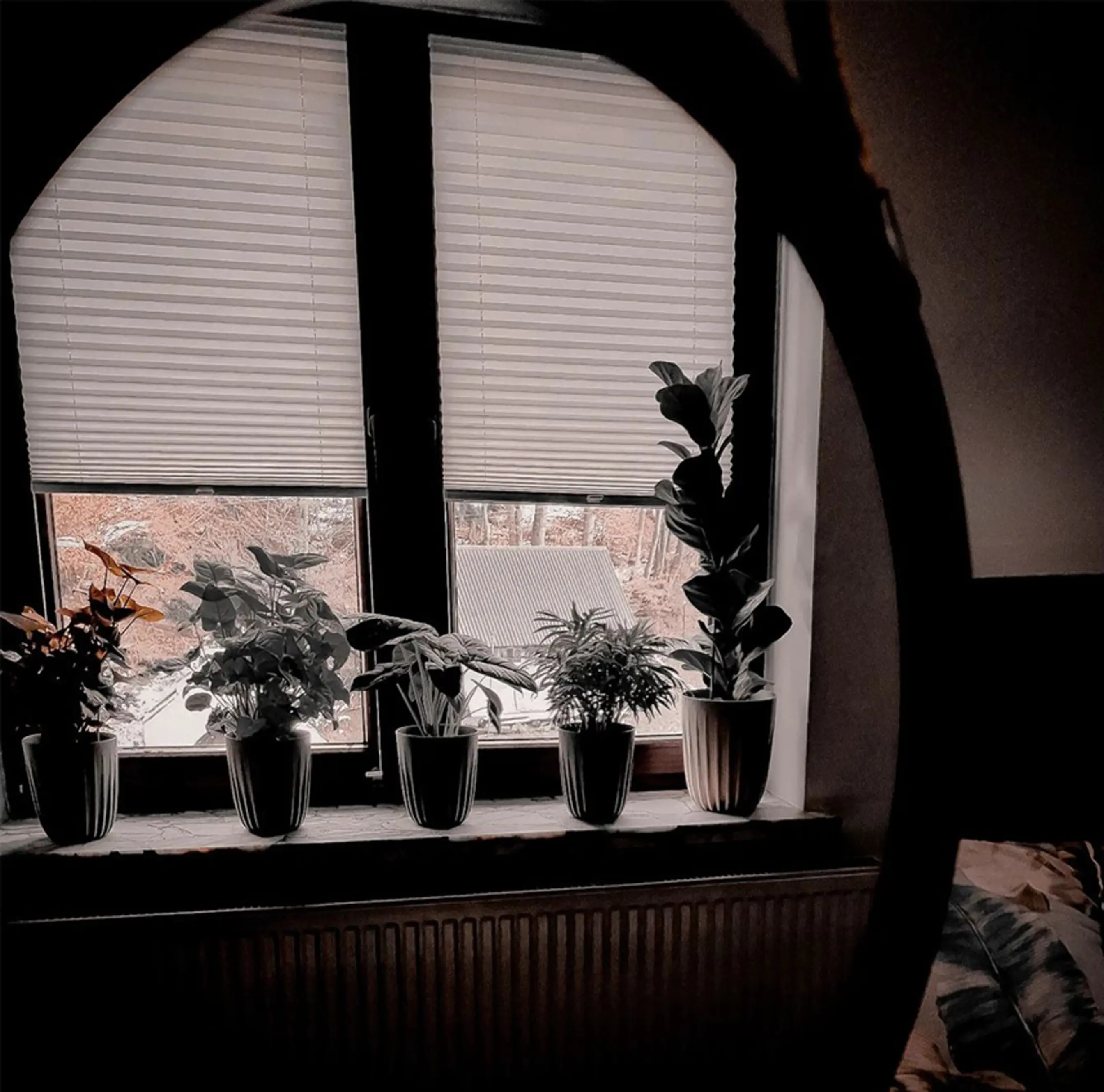 persianas de ventanas