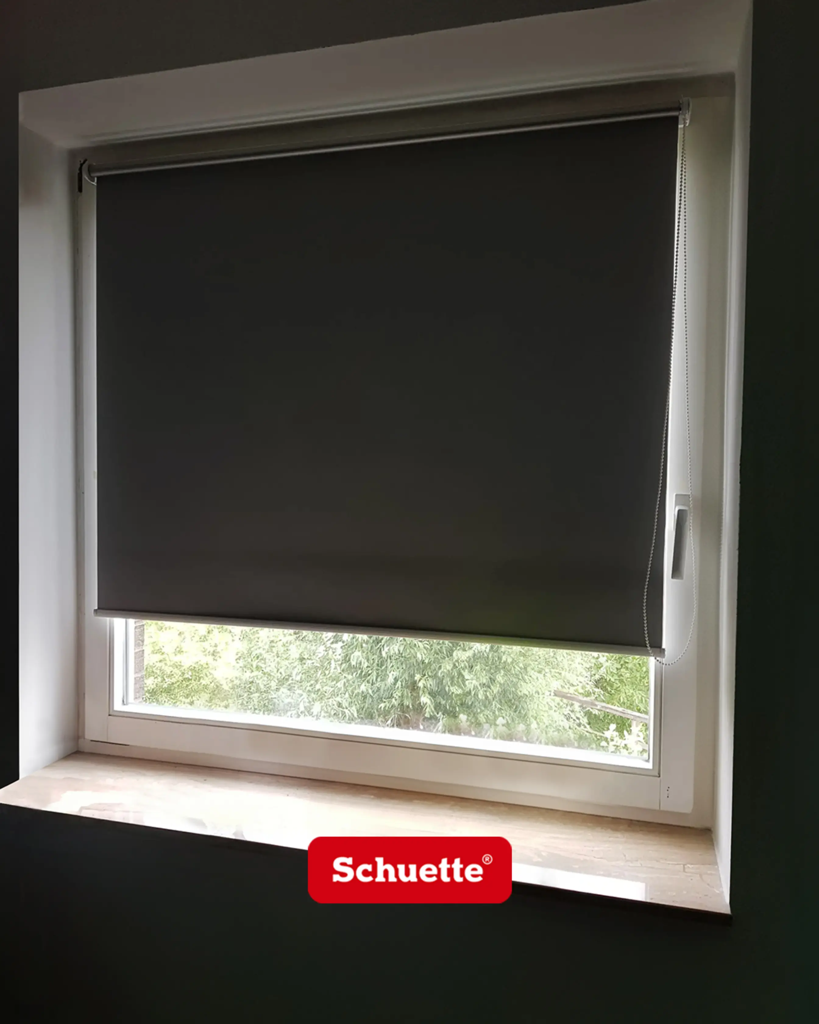 screen cortinas