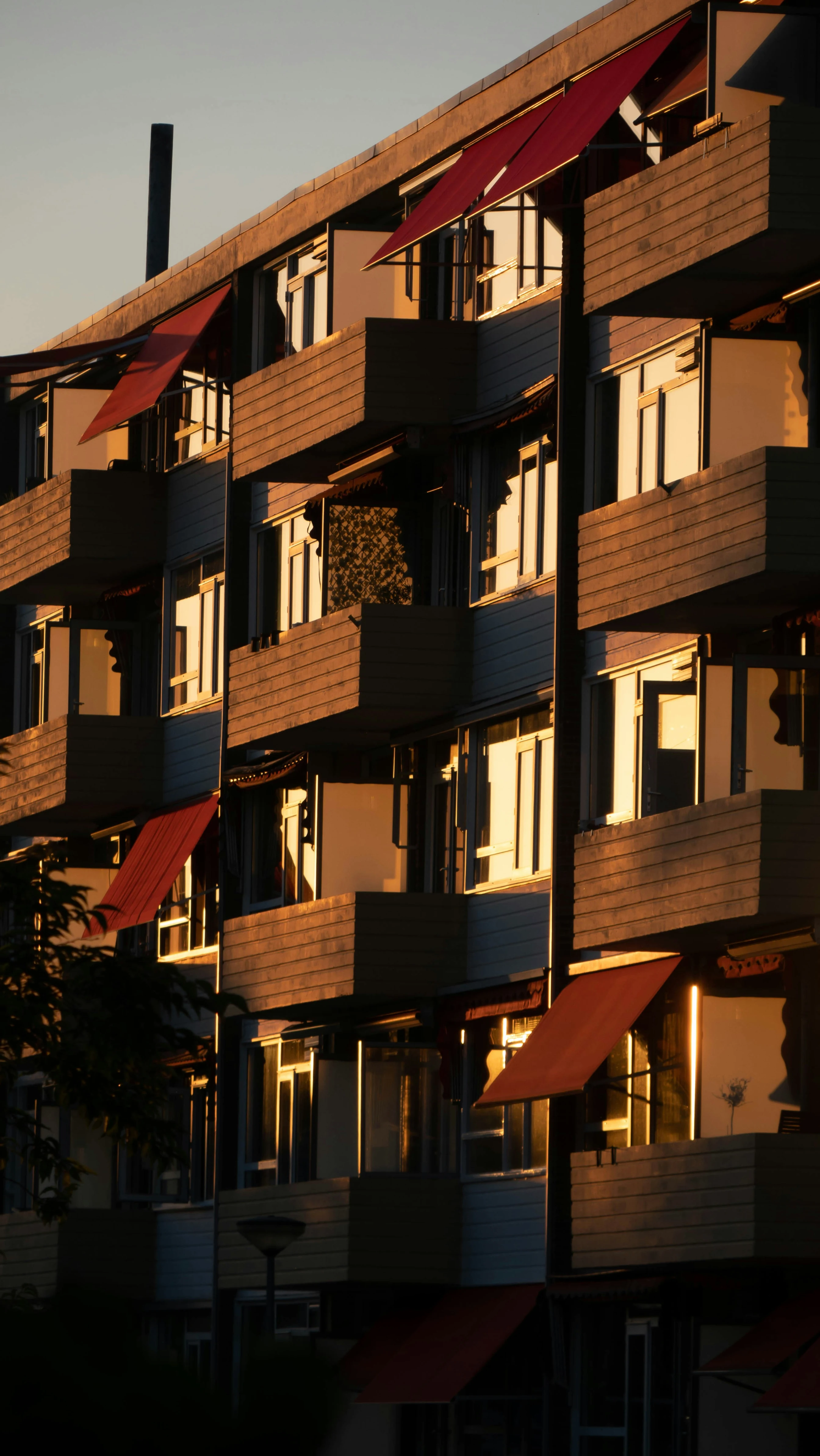 toldos de terraza