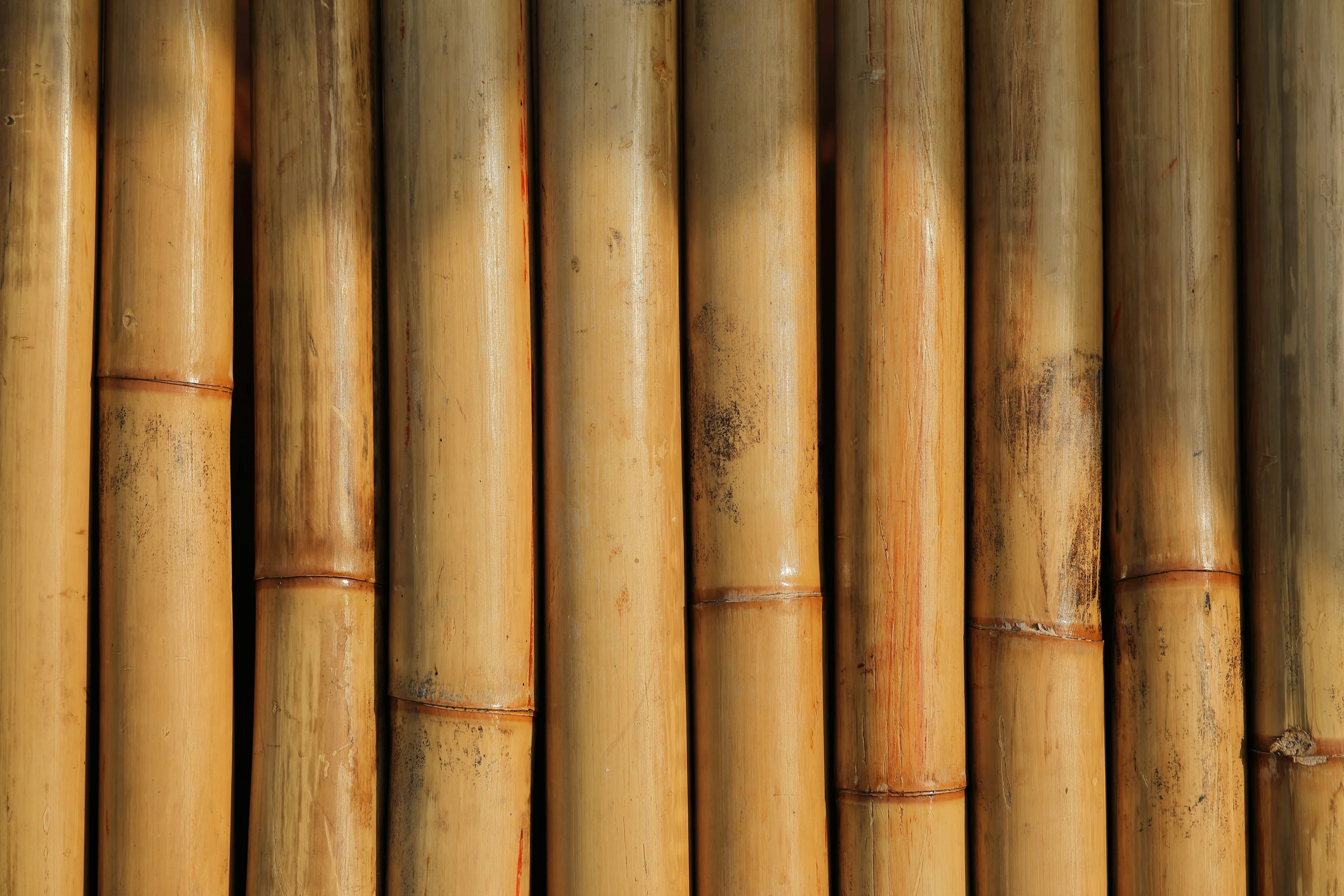 estores de bambu baratos