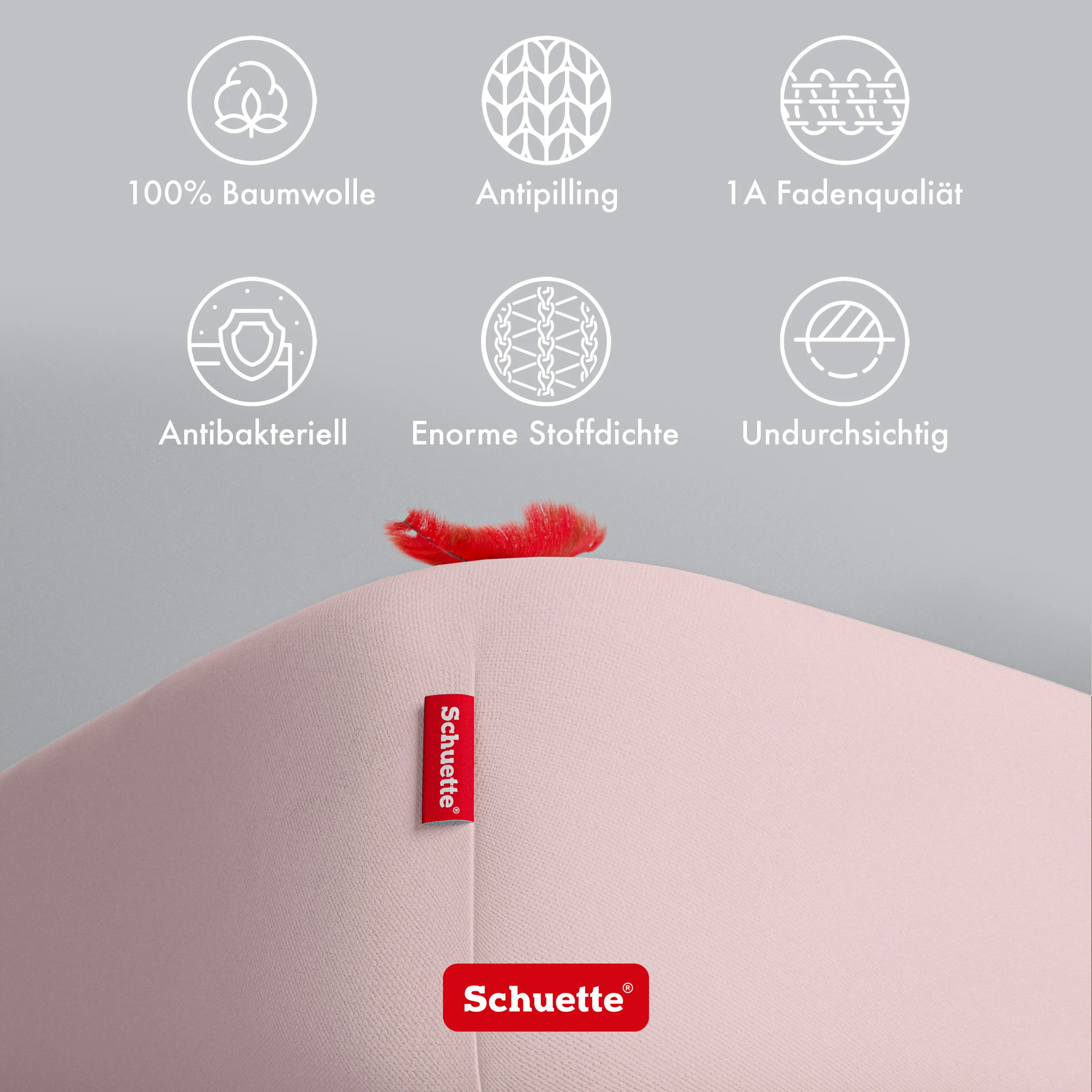 Schuette® Spannbettlaken • 160 x 200 • Wow! Kollektion: Cherry Blossom (Pastellrosa) • 100% Superfluff Baumwolle, Blickdicht, Faltenfrei • mit Rundumgummi • Matratzenhöhe bis 25 cm