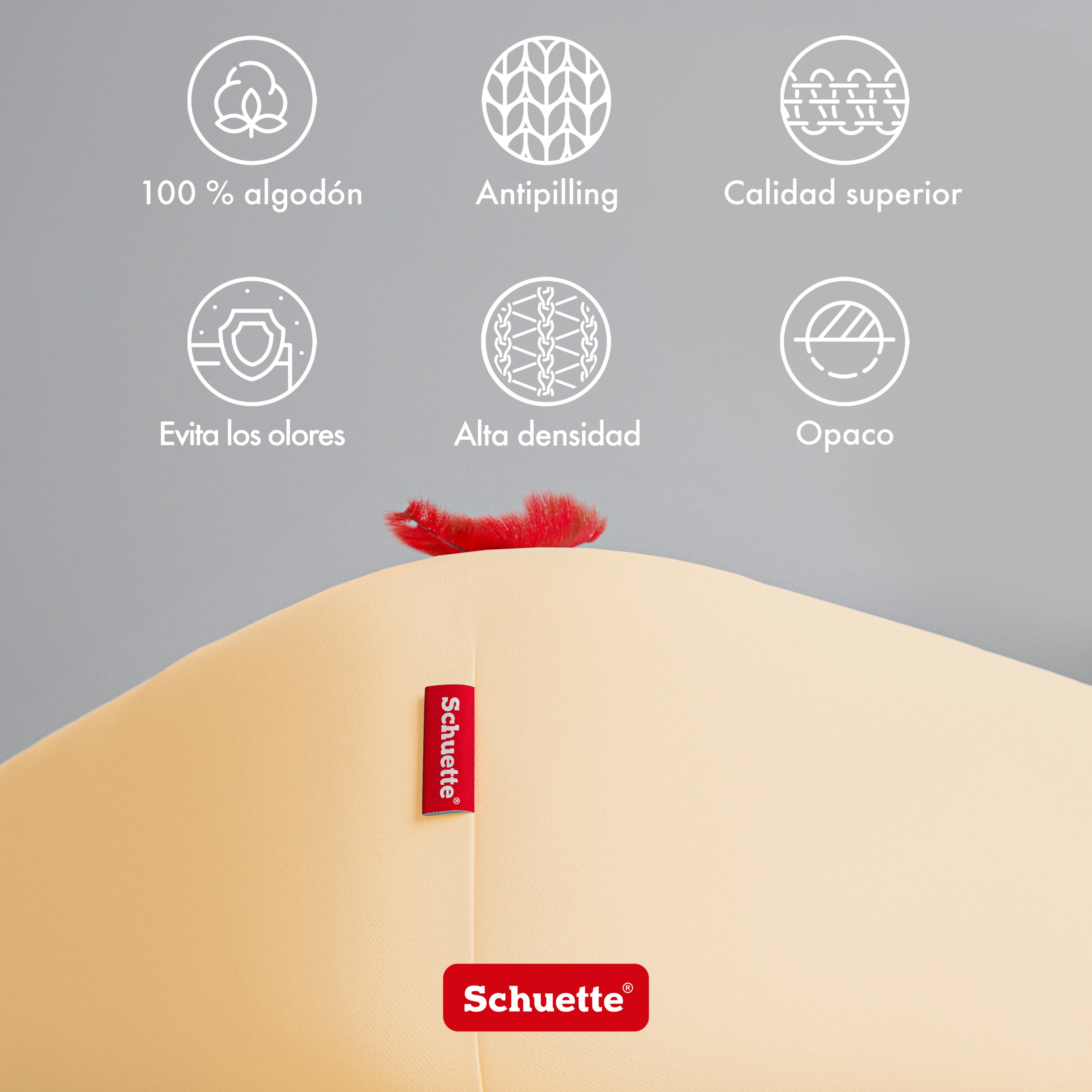 Schuette® Spannbettlaken • 90 x 200 • Wow! Kollektion: Apricot Unleashed (Apricot) • 100% Superfluff Baumwolle, Blickdicht, Faltenfrei • mit Rundumgummi • Matratzenhöhe bis 35 cm