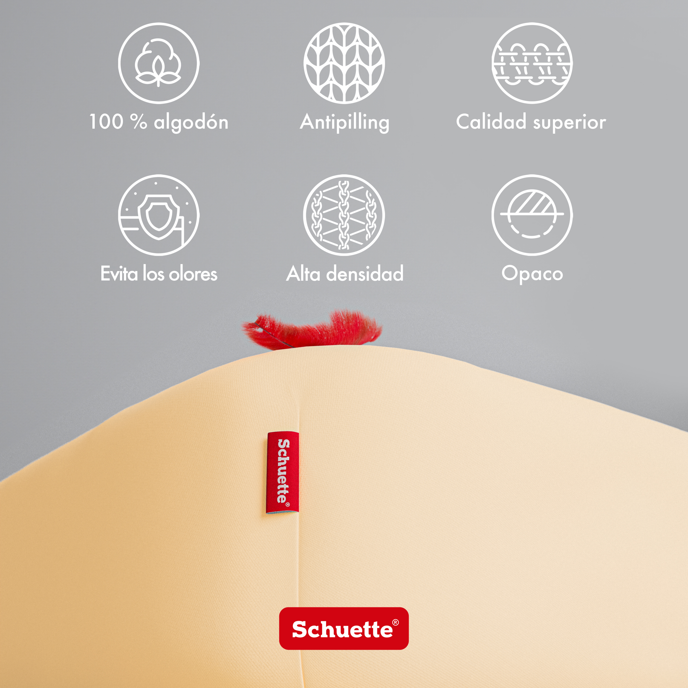 Schuette® Spannbettlaken • 180 x 200 • Wow! Kollektion: Apricot Unleashed (Apricot) • 100% Superfluff Baumwolle, Blickdicht, Faltenfrei • mit Rundumgummi • Matratzenhöhe bis 30 cm