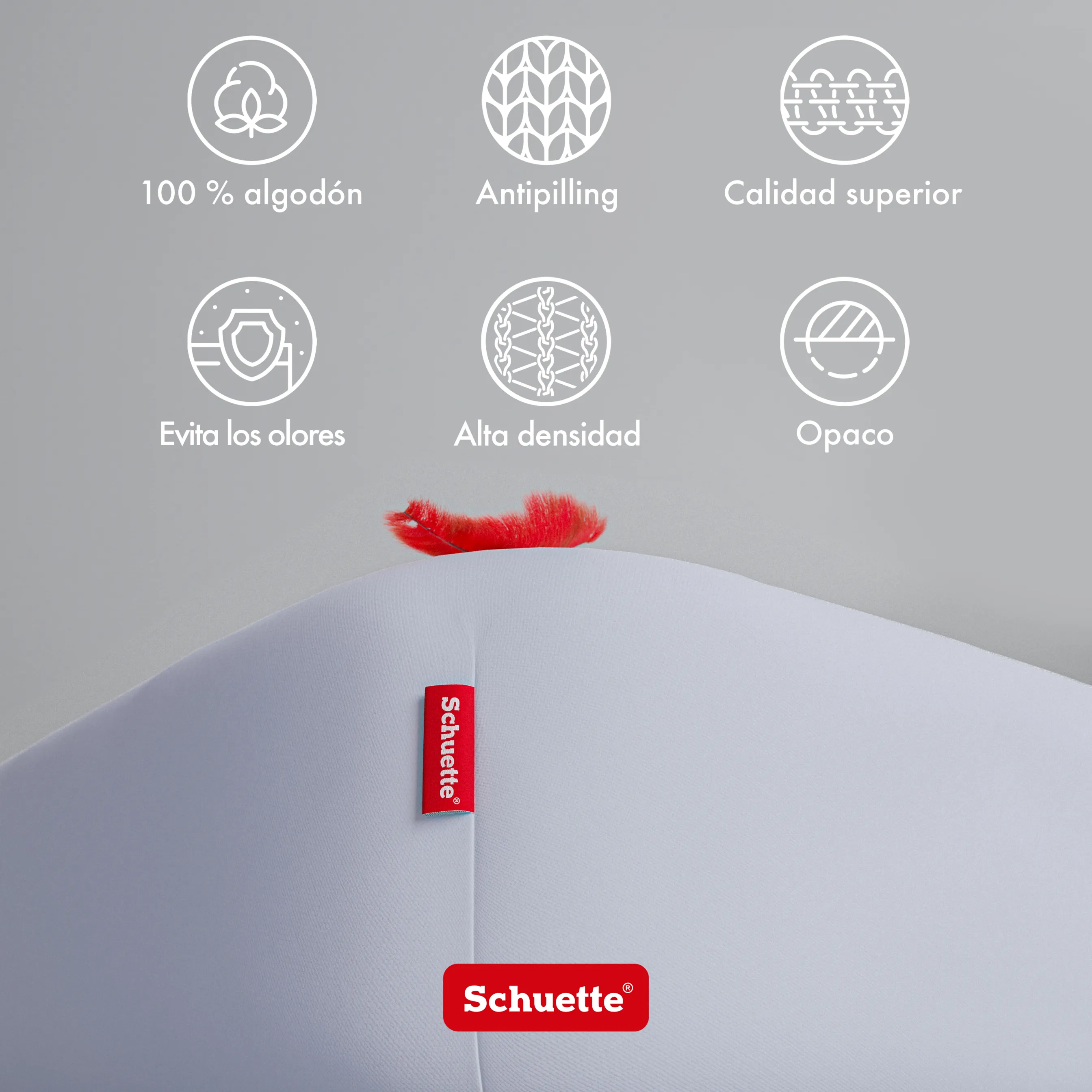 Schuette® Spannbettlaken • 200 x 200 • Wow! Kollektion: Graceful Grayce (Hellgrau) • 100% Superfluff Baumwolle, Blickdicht, Faltenfrei • mit Rundumgummi • Matratzenhöhe bis 30 cm