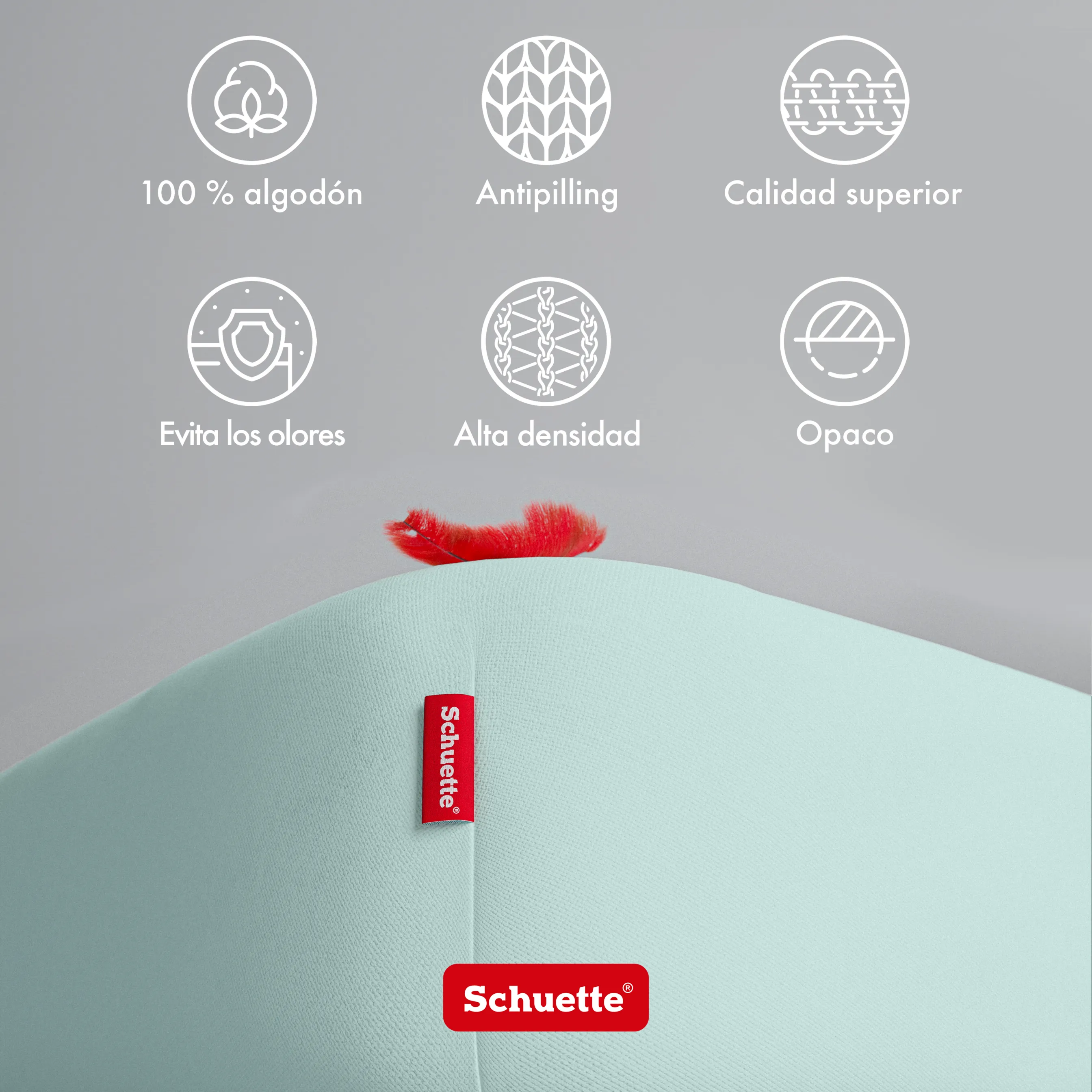 Schuette® Spannbettlaken • 180 x 200 • Wow! Kollektion: Icy Tiff (Pastelltürkis) • 100% Superfluff Baumwolle, Blickdicht, Faltenfrei • mit Rundumgummi • Matratzenhöhe bis 20 cm