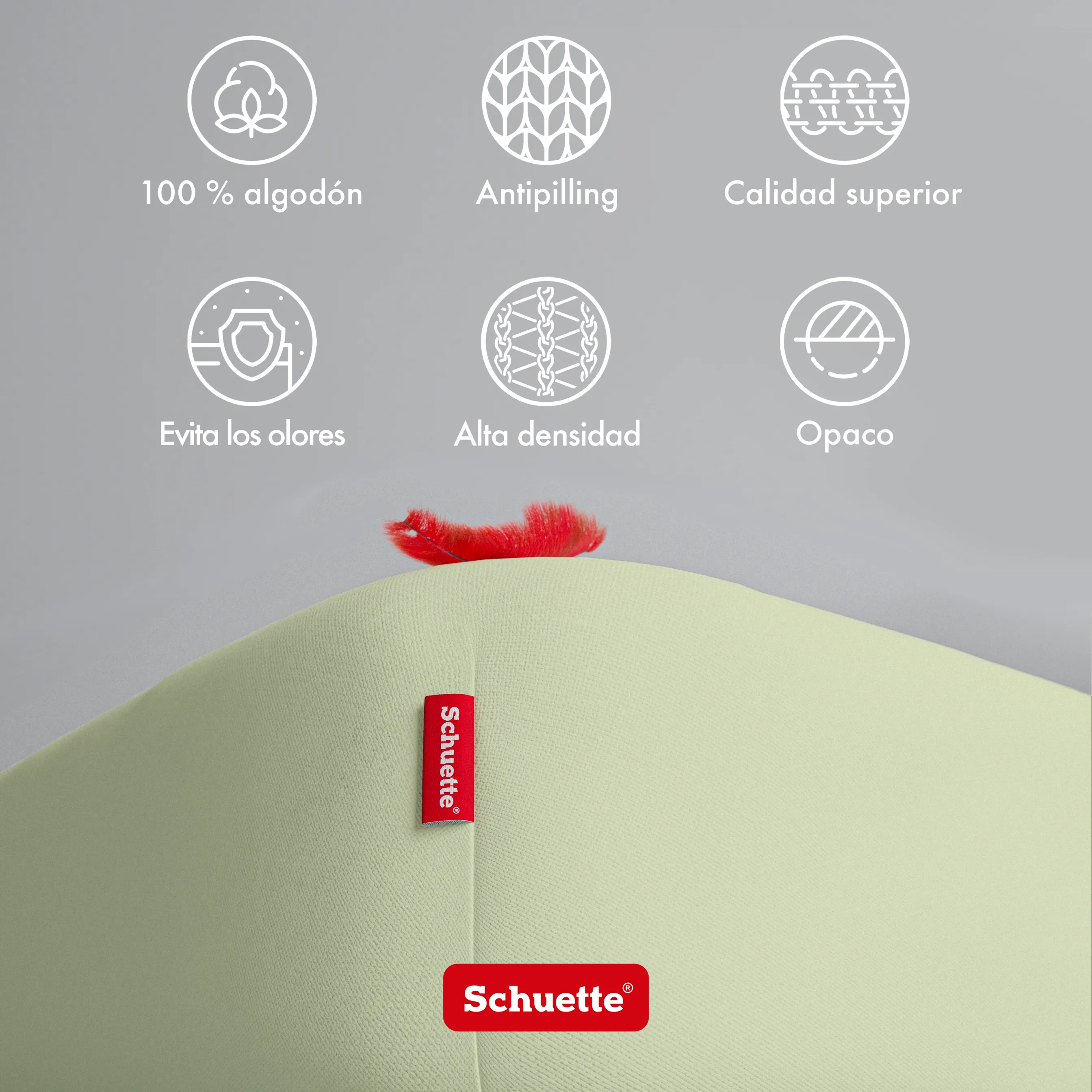 Schuette® Spannbettlaken • 120 x 200 • Wow! Kollektion: Pistachio Scoop (Pastellgrün) • 100% Superfluff Baumwolle, Blickdicht, Faltenfrei • mit Rundumgummi • Matratzenhöhe bis 35 cm