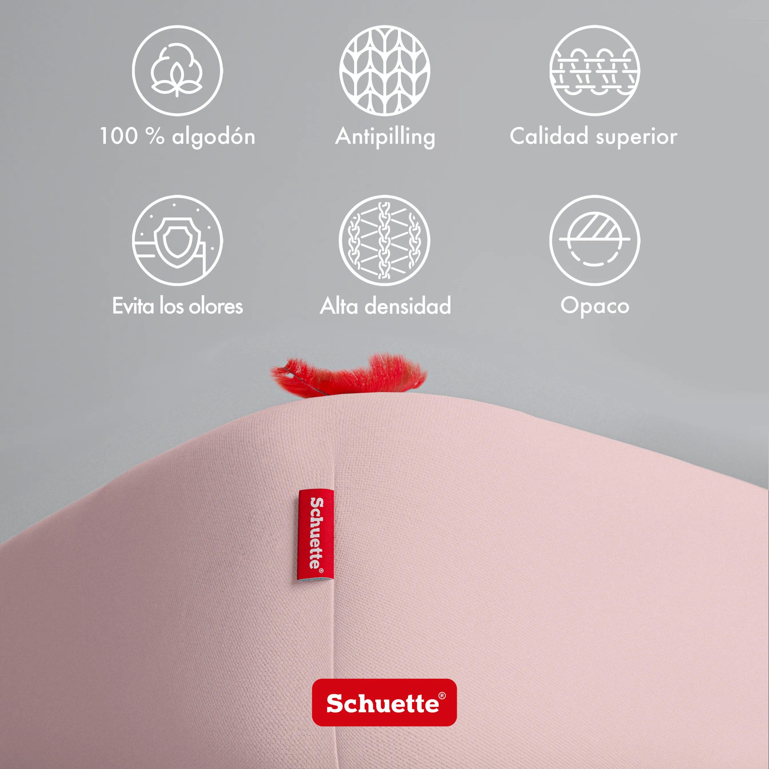 Schuette® Spannbettlaken • 200 x 200 • Wow! Kollektion: Cherry Blossom (Pastellrosa) • 100% Superfluff Baumwolle, Blickdicht, Faltenfrei • mit Rundumgummi • Matratzenhöhe bis 25 cm