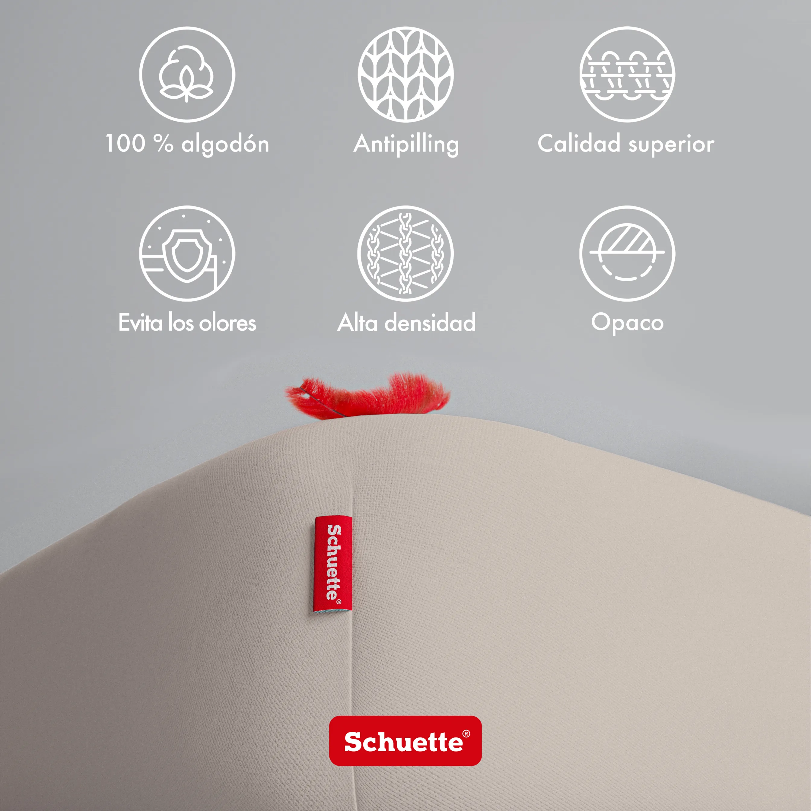 Schuette® Topper Spannbettlaken • 70 x 200 • Wow! Kollektion: Vanilla & Co. (Beige) • 100% Superfluff Baumwolle, Blickdicht, Faltenfrei • mit Rundumgummi • Matratzenhöhe bis 15 cm