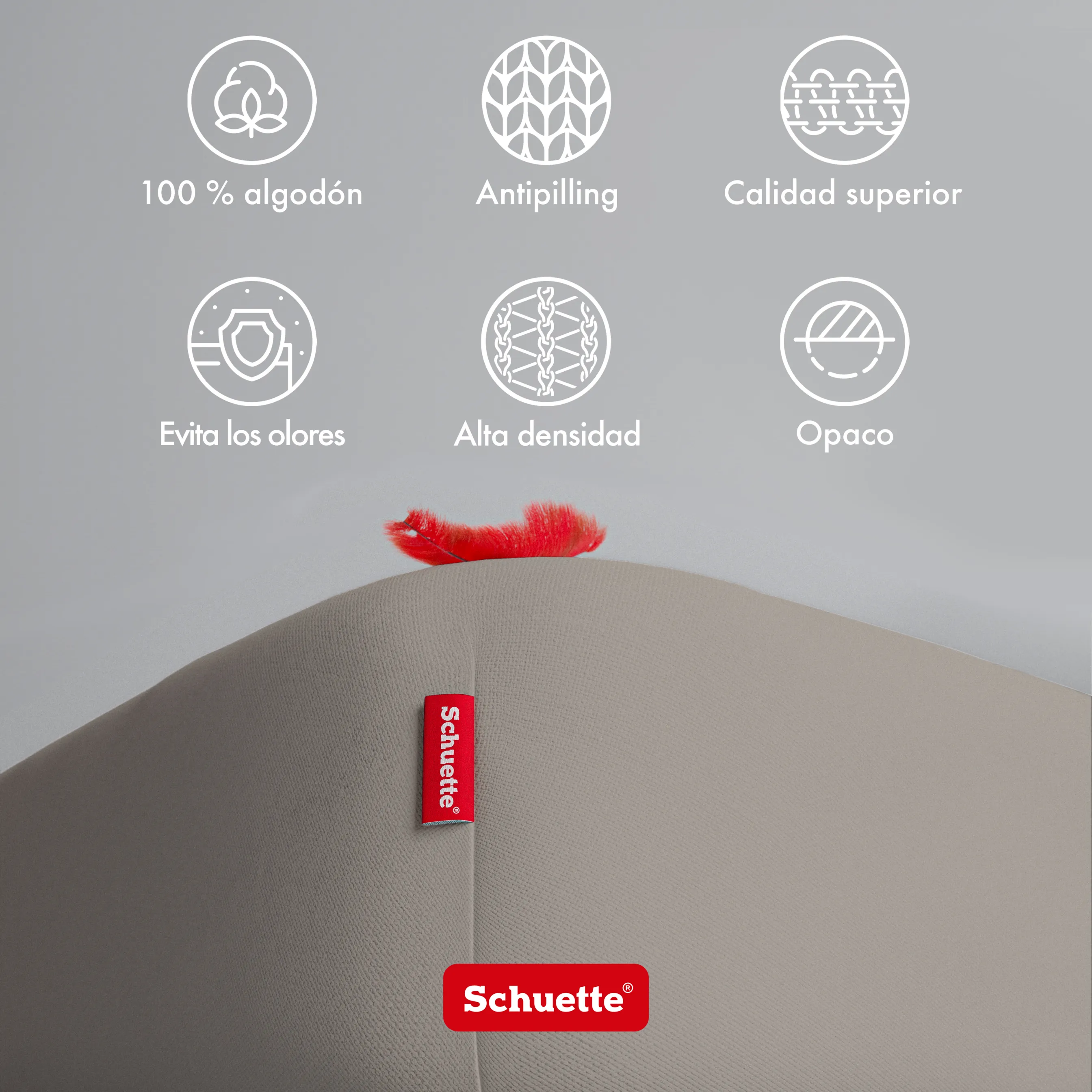 Schuette® Spannbettlaken • 200 x 200 • Wow! Kollektion: Mocha Mia! (Cappuccino) • 100% Superfluff Baumwolle, Blickdicht, Faltenfrei • mit Rundumgummi • Matratzenhöhe bis 40 cm