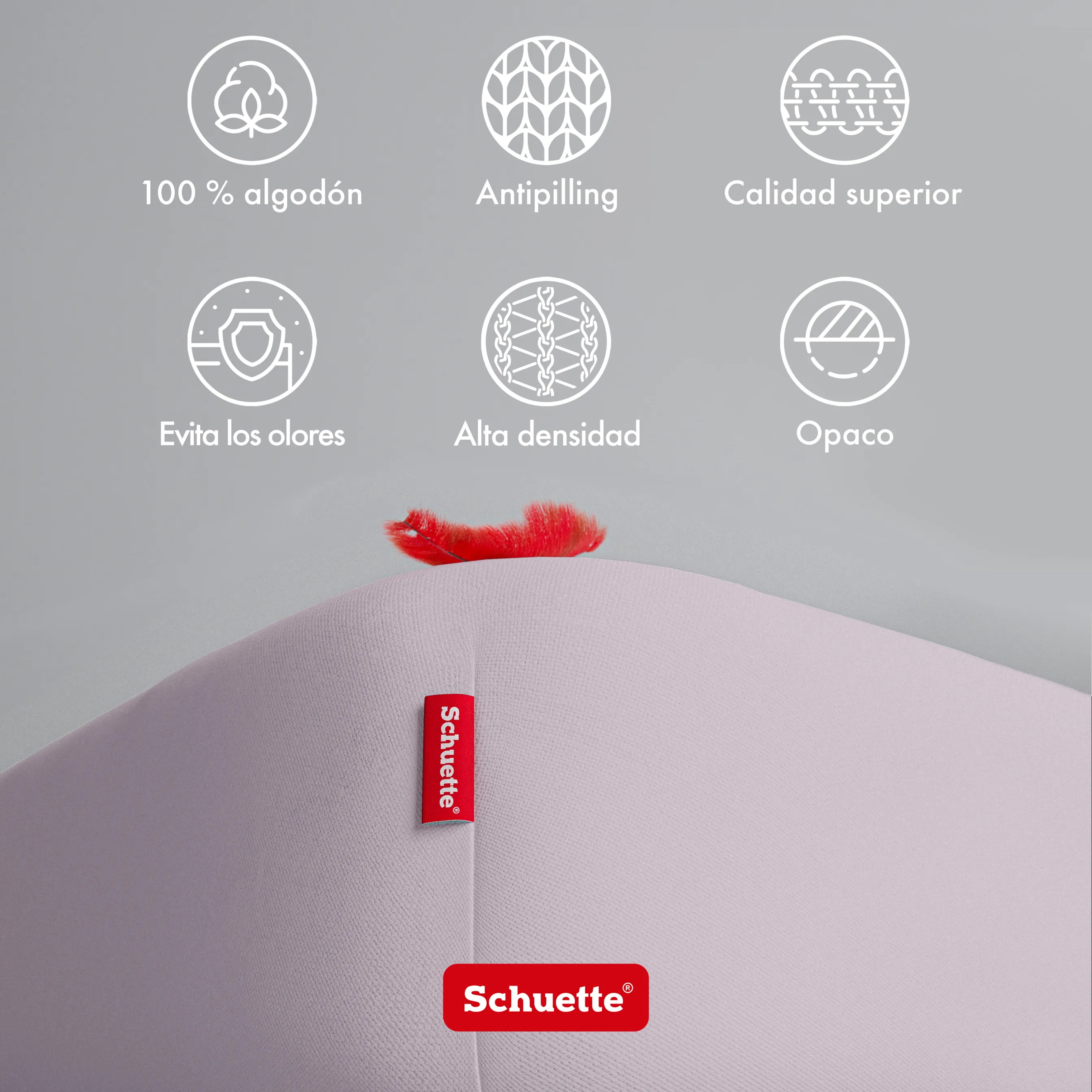 Schuette® Spannbettlaken • 200 x 200 • Wow! Kollektion: Lavender Haze (Pastelllila) • 100% Superfluff Baumwolle, Blickdicht, Faltenfrei • mit Rundumgummi • Matratzenhöhe bis 30 cm