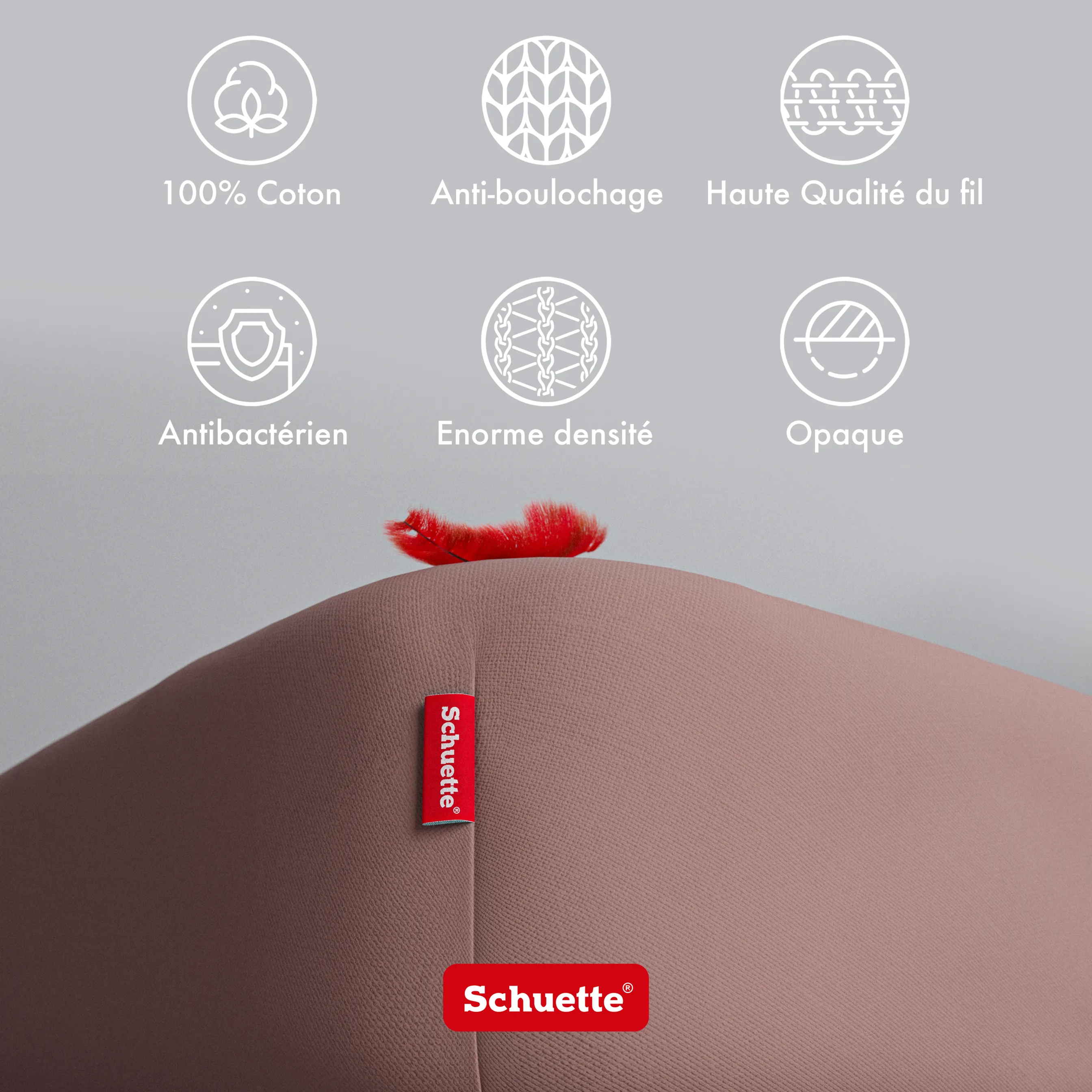 Schuette® Spannbettlaken • 120 x 200 • Wow! Kollektion: Espresso Yourself (Braun) • 100% Superfluff Baumwolle, Blickdicht, Faltenfrei • mit Rundumgummi • Matratzenhöhe bis 40 cm