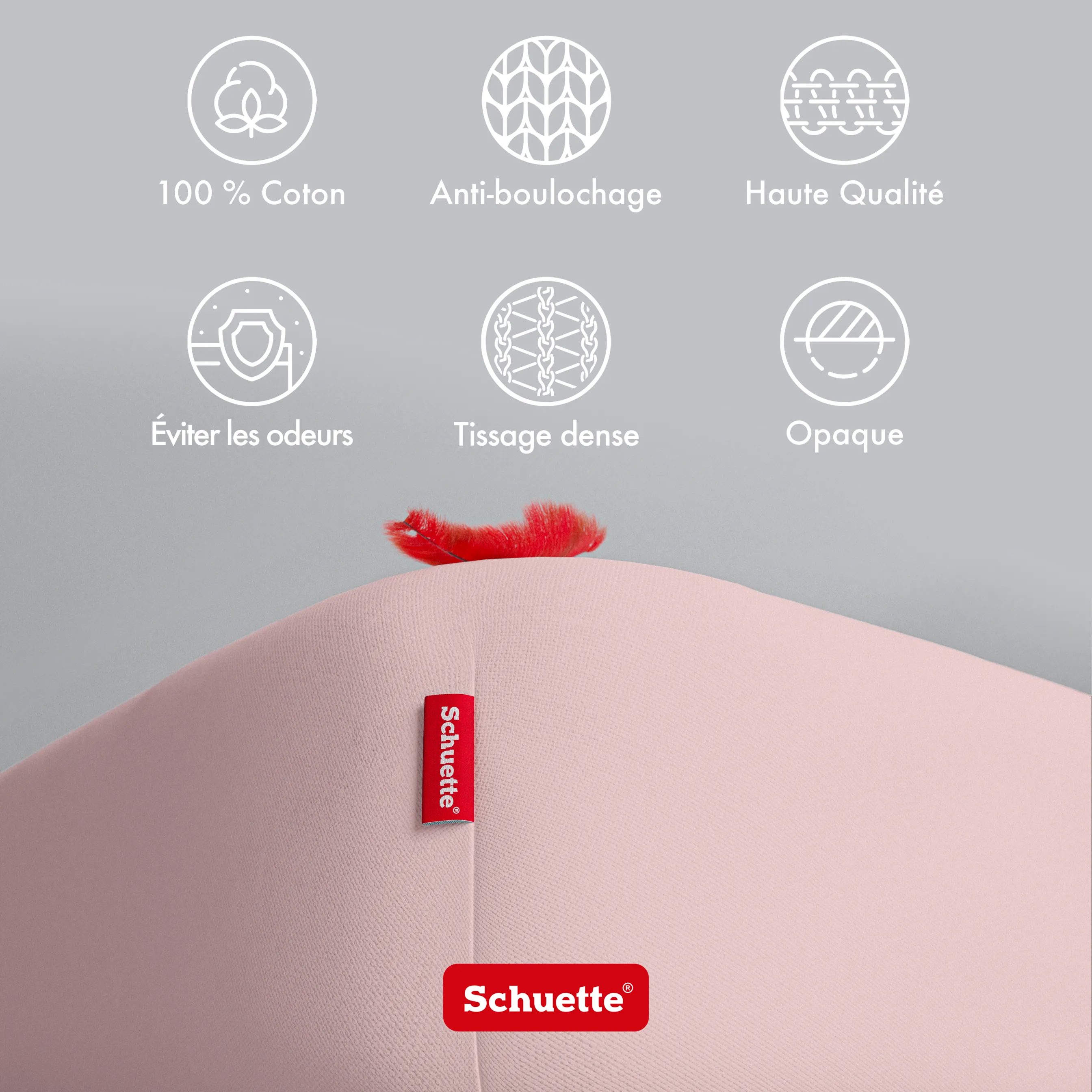 Schuette® Spannbettlaken • 200 x 200 • Wow! Kollektion: Cherry Blossom (Pastellrosa) • 100% Superfluff Baumwolle, Blickdicht, Faltenfrei • mit Rundumgummi • Matratzenhöhe bis 25 cm