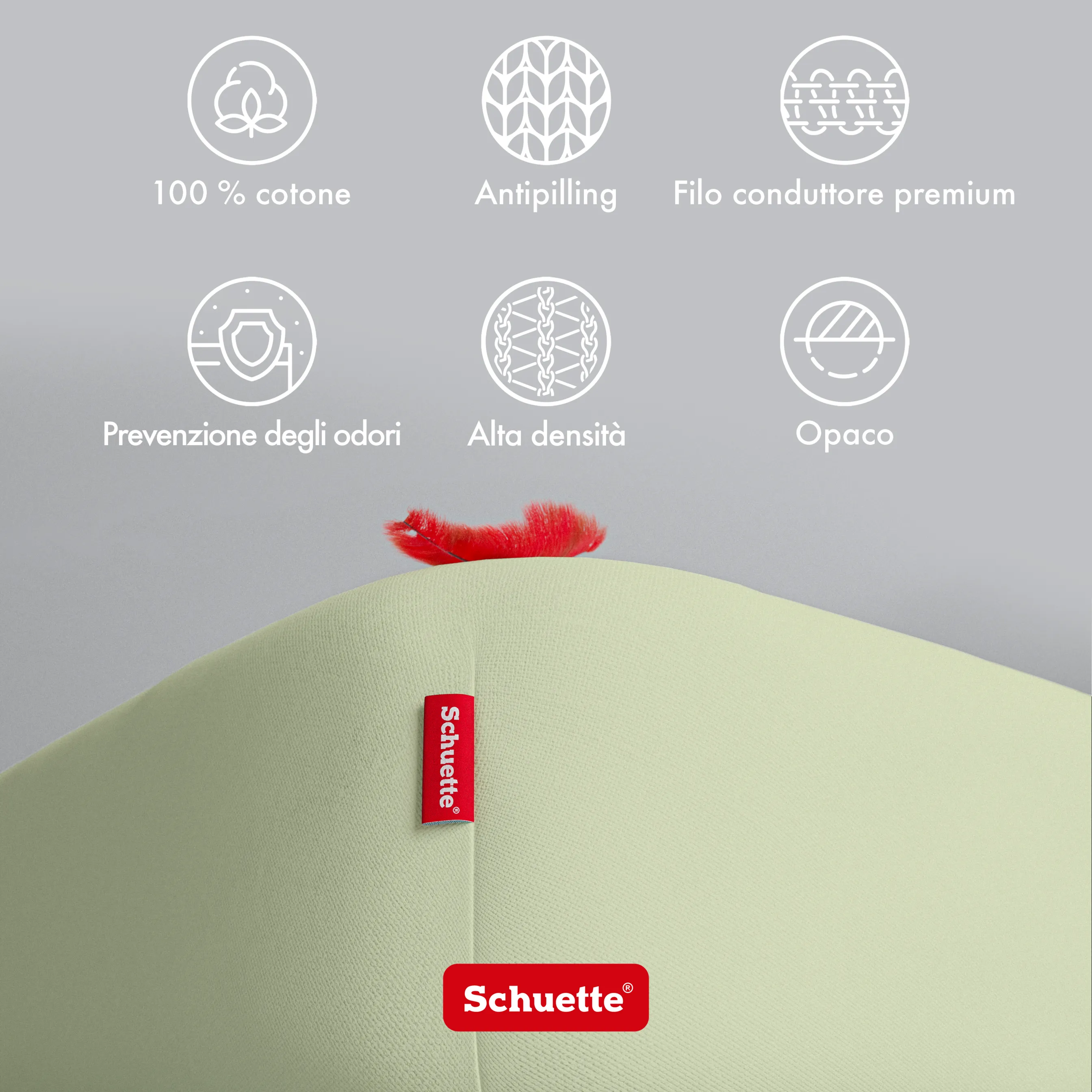 Schuette® Spannbettlaken • 90 x 200 • Wow! Kollektion: Pistachio Scoop (Pastellgrün) • 100% Superfluff Baumwolle, Blickdicht, Faltenfrei • mit Rundumgummi • Matratzenhöhe bis 30 cm