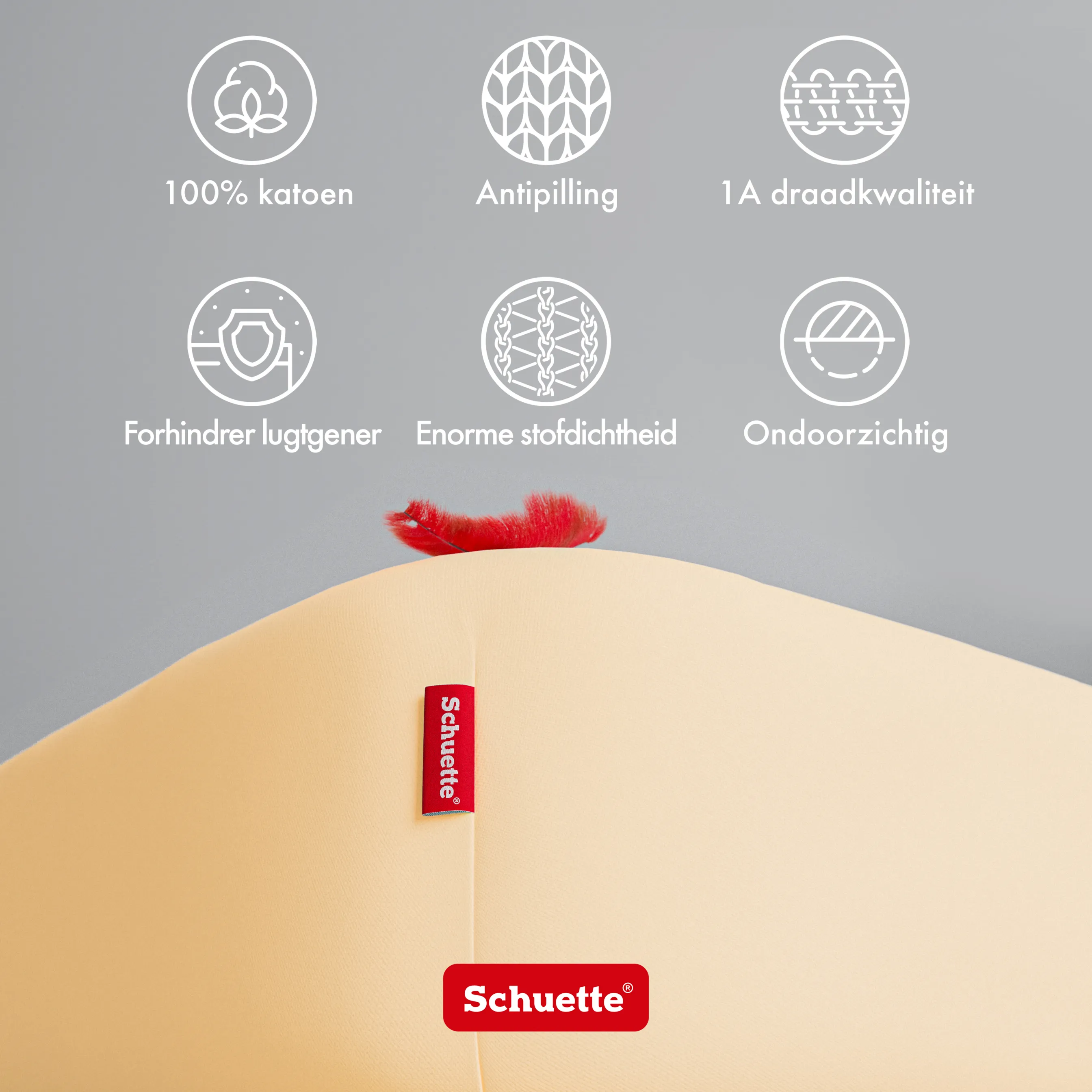 Schuette® Spannbettlaken • 90 x 200 • Wow! Kollektion: Apricot Unleashed (Apricot) • 100% Superfluff Baumwolle, Blickdicht, Faltenfrei • mit Rundumgummi • Matratzenhöhe bis 35 cm