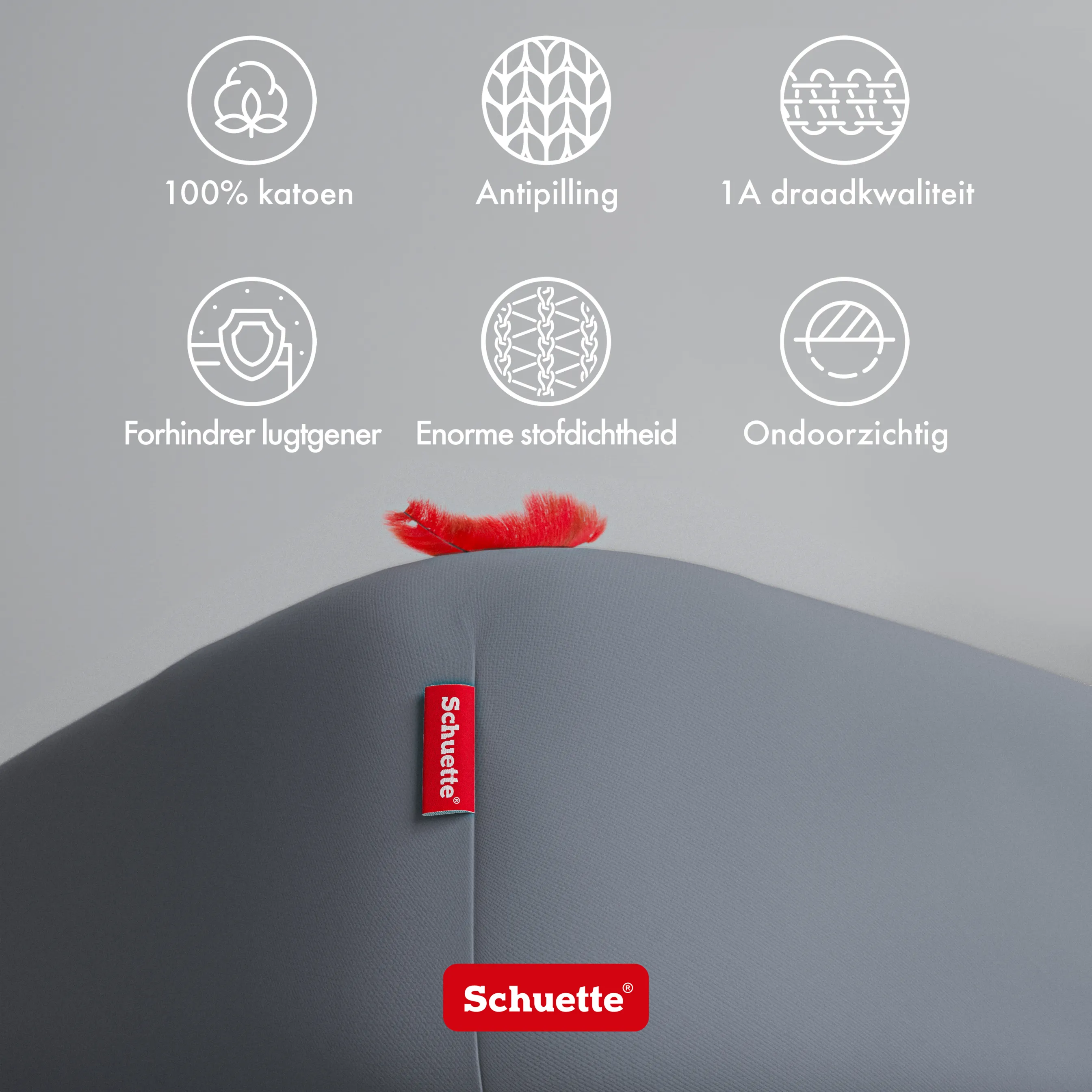 Schuette® Spannbettlaken • 180 x 200 • Wow! Kollektion: Shades of Earl Gray (Dunkelgrau) • 100% Superfluff Baumwolle, Blickdicht, Faltenfrei • mit Rundumgummi • Matratzenhöhe bis 25 cm