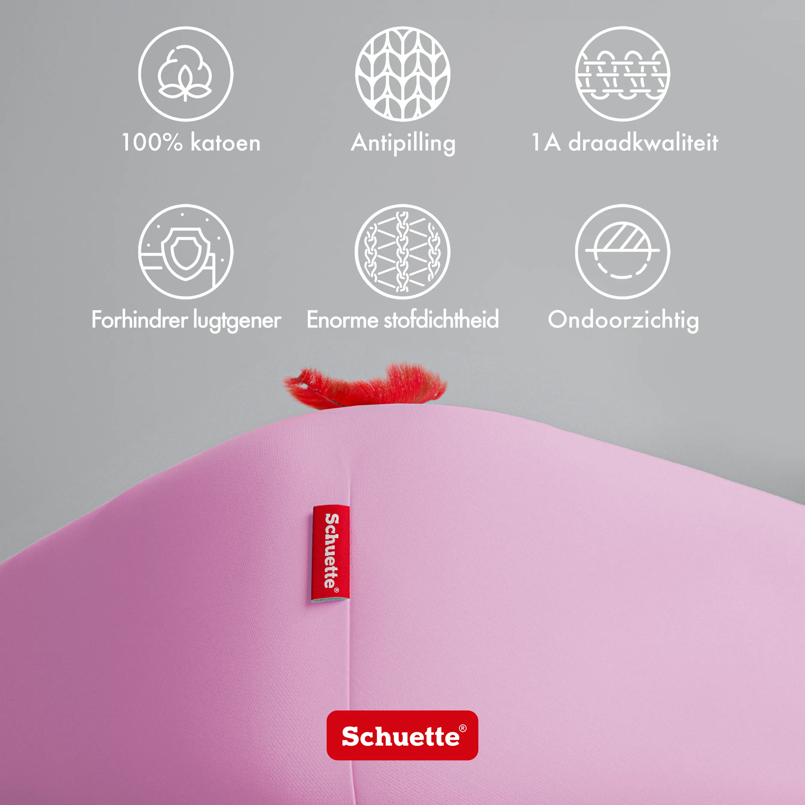 Schuette® Spannbettlaken • 140 x 200 • Wow! Kollektion: Let me Pink! (Rosa) • 100% Superfluff Baumwolle, Blickdicht, Faltenfrei • mit Rundumgummi • Matratzenhöhe bis 20 cm