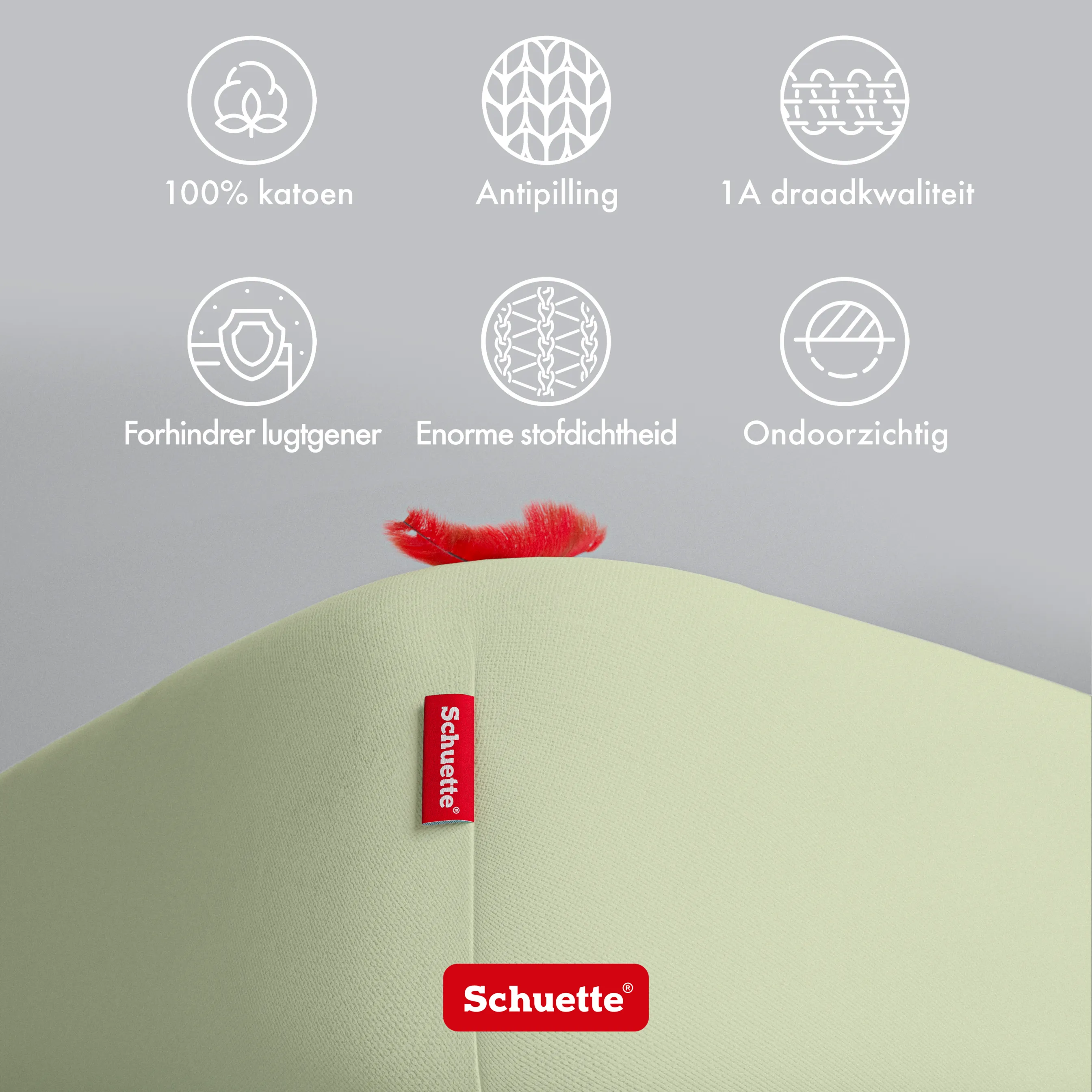 Schuette® Spannbettlaken • 90 x 200 • Wow! Kollektion: Pistachio Scoop (Pastellgrün) • 100% Superfluff Baumwolle, Blickdicht, Faltenfrei • mit Rundumgummi • Matratzenhöhe bis 30 cm