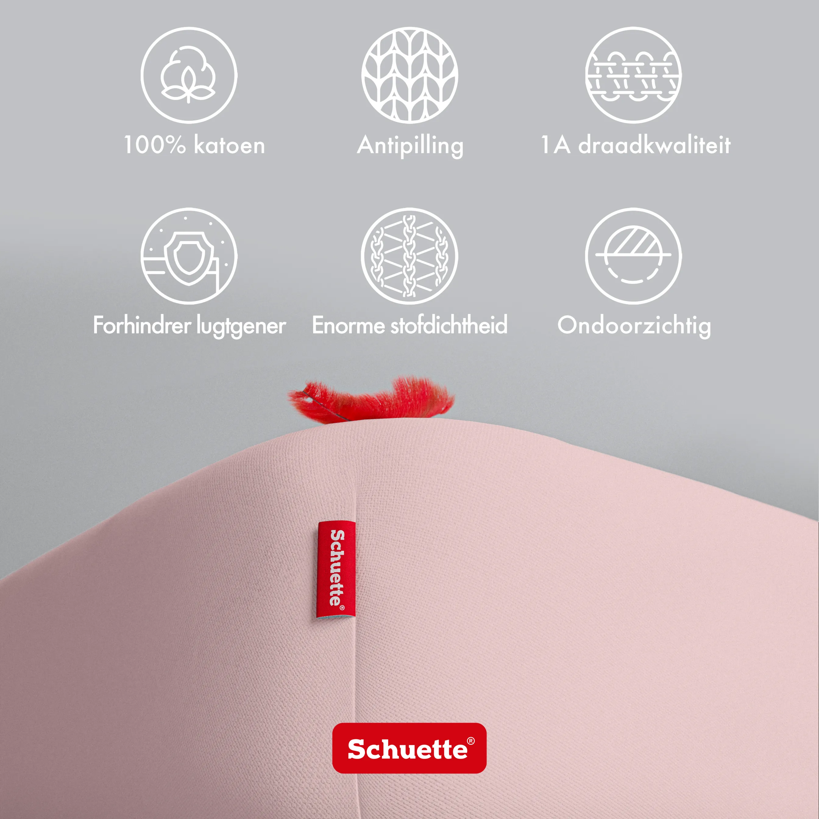 Schuette® Spannbettlaken • 160 x 200 • Wow! Kollektion: Cherry Blossom (Pastellrosa) • 100% Superfluff Baumwolle, Blickdicht, Faltenfrei • mit Rundumgummi • Matratzenhöhe bis 25 cm