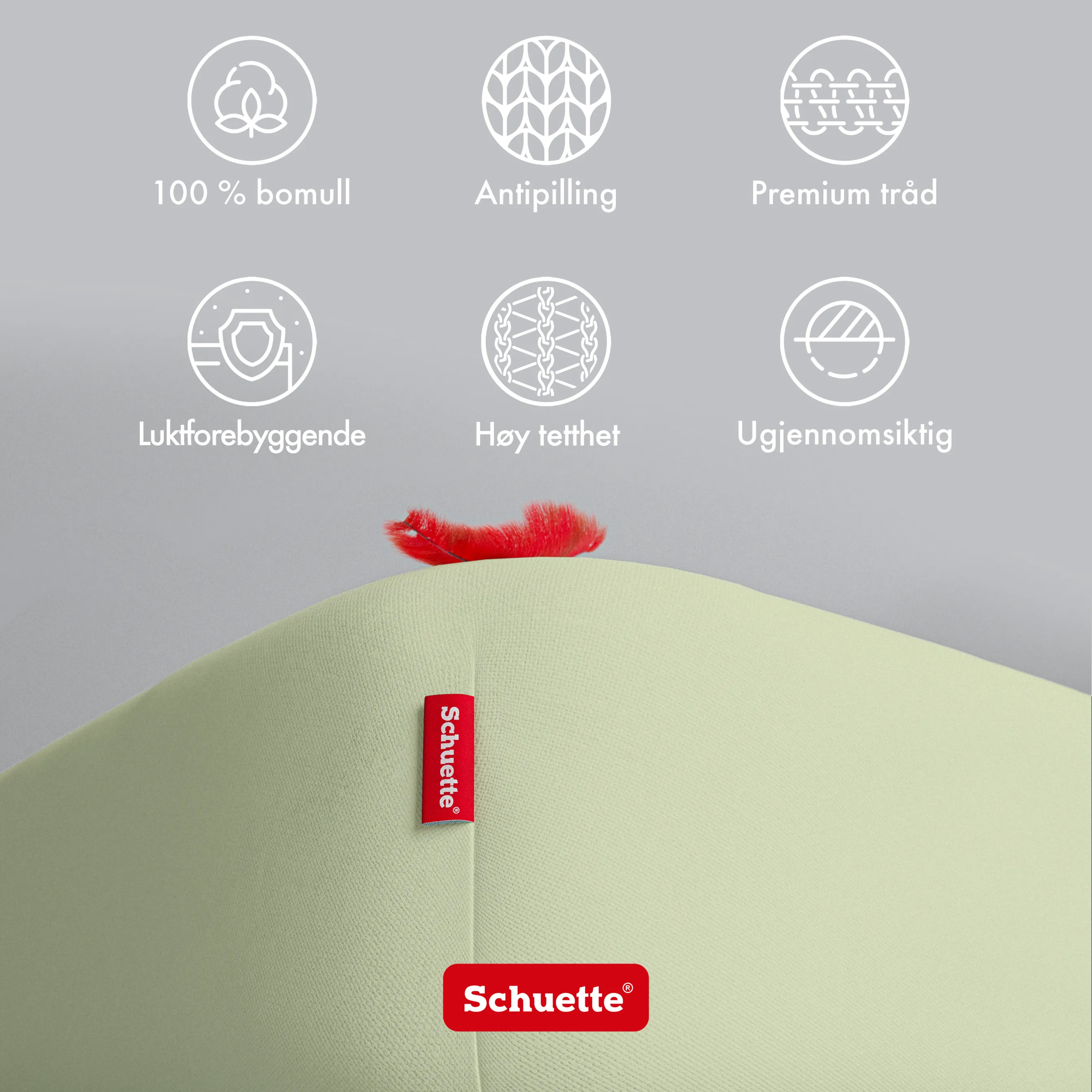Schuette® Spannbettlaken • 120 x 200 • Wow! Kollektion: Pistachio Scoop (Pastellgrün) • 100% Superfluff Baumwolle, Blickdicht, Faltenfrei • mit Rundumgummi • Matratzenhöhe bis 20 cm