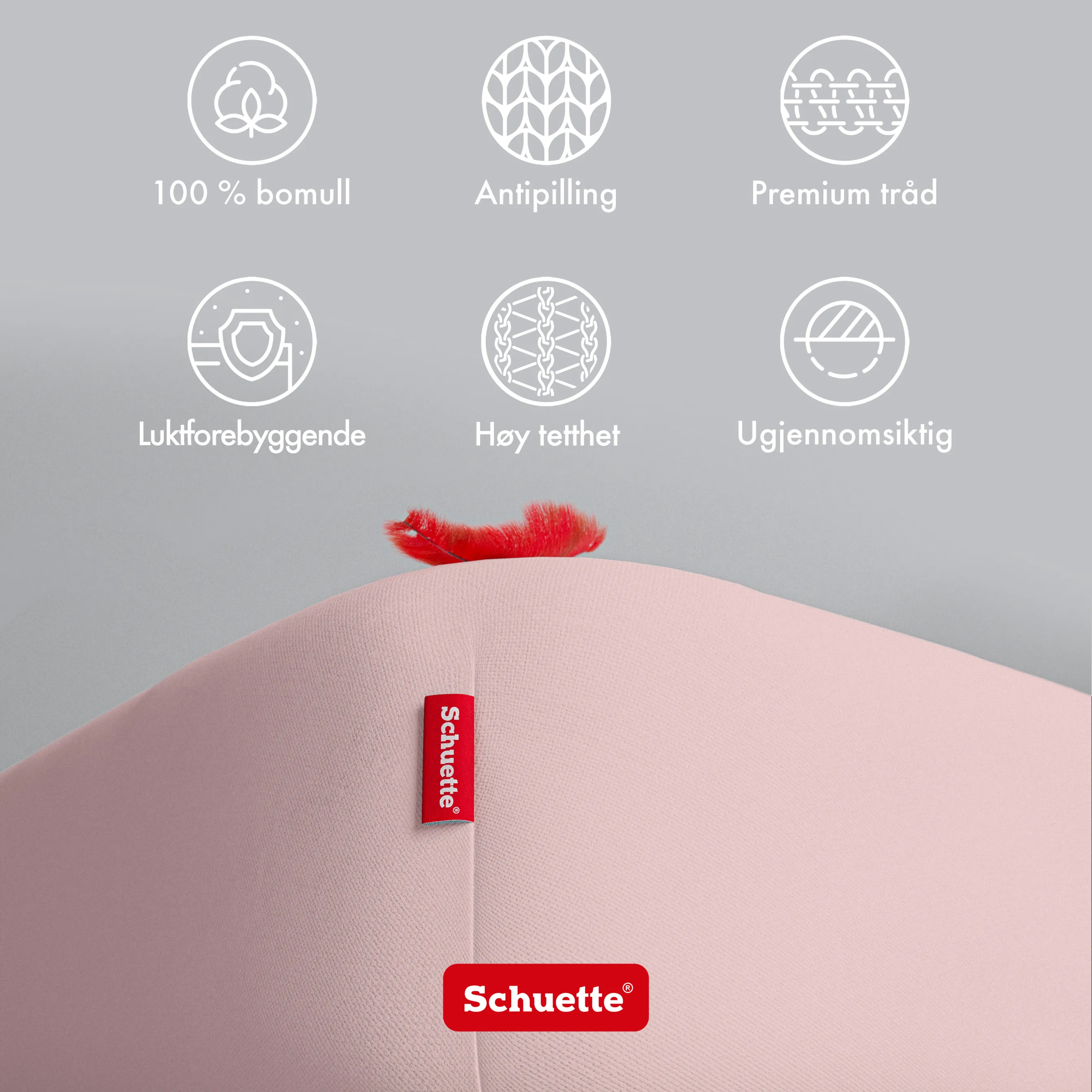 Schuette® Spannbettlaken • 160 x 200 • Wow! Kollektion: Cherry Blossom (Pastellrosa) • 100% Superfluff Baumwolle, Blickdicht, Faltenfrei • mit Rundumgummi • Matratzenhöhe bis 25 cm