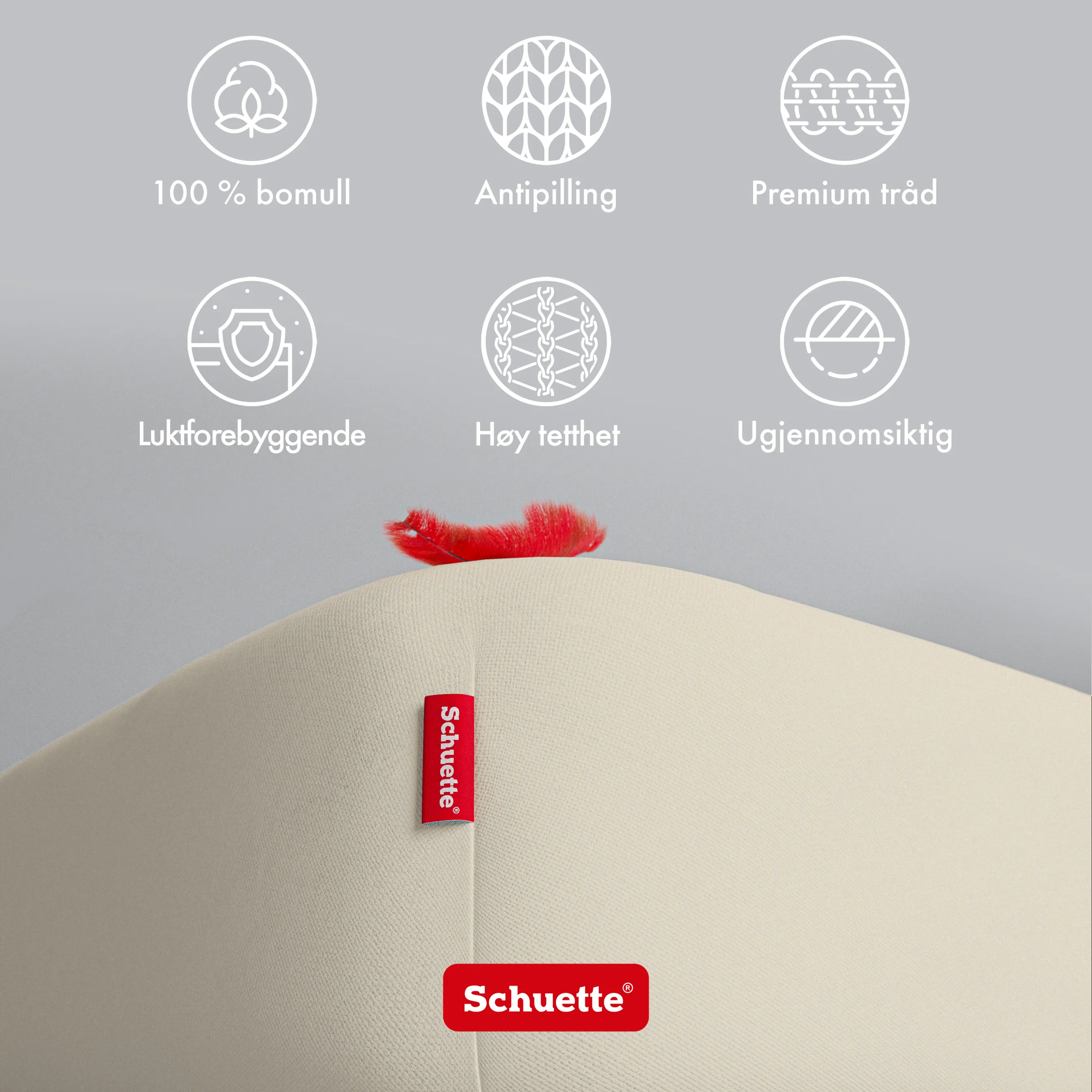 Schuette® Spannbettlaken • 140 x 200 • Wow! Kollektion: Almond Cream (Ecru) • 100% Superfluff Baumwolle, Blickdicht, Faltenfrei • mit Rundumgummi • Matratzenhöhe bis 20 cm