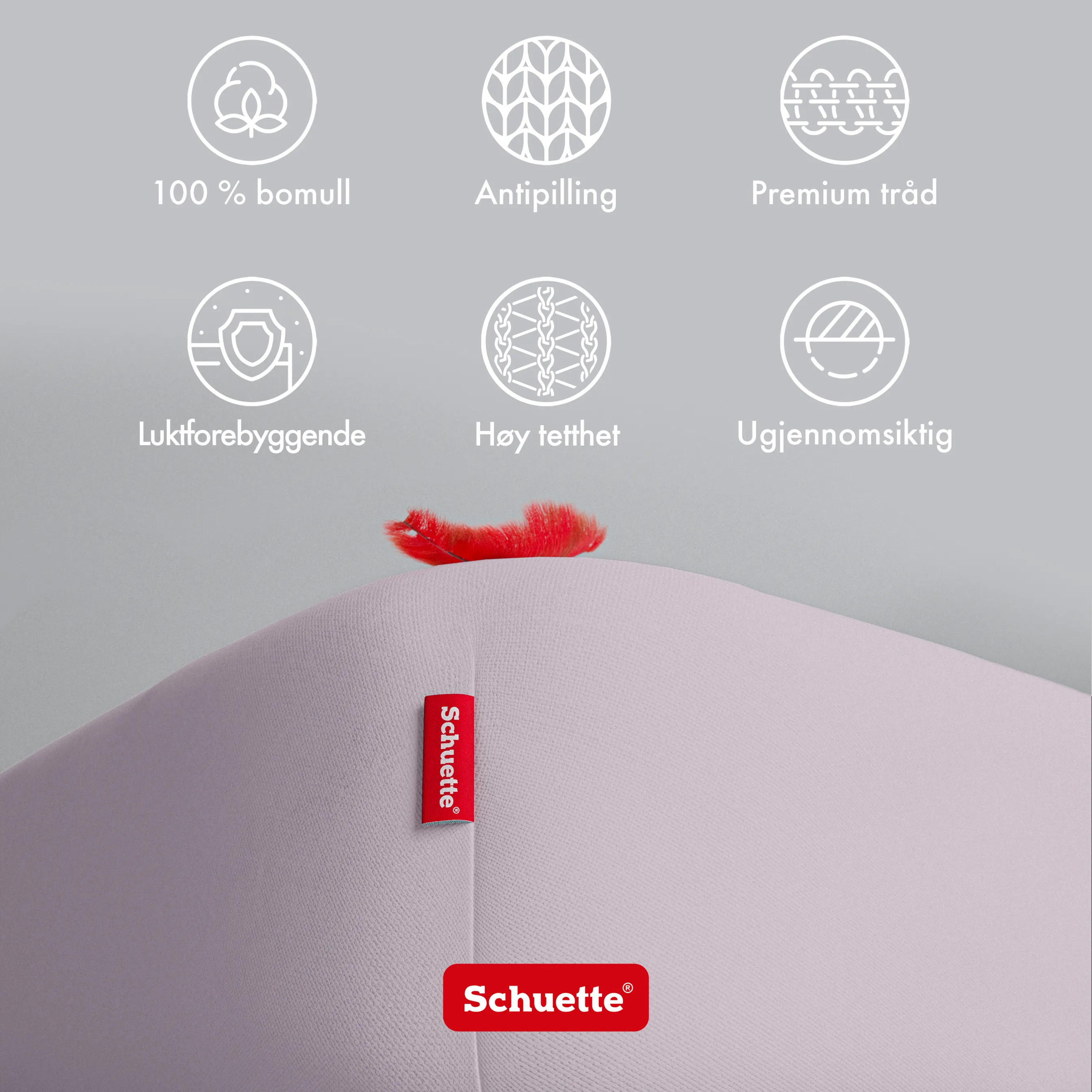 Schuette® Spannbettlaken • 200 x 200 • Wow! Kollektion: Lavender Haze (Pastelllila) • 100% Superfluff Baumwolle, Blickdicht, Faltenfrei • mit Rundumgummi • Matratzenhöhe bis 30 cm